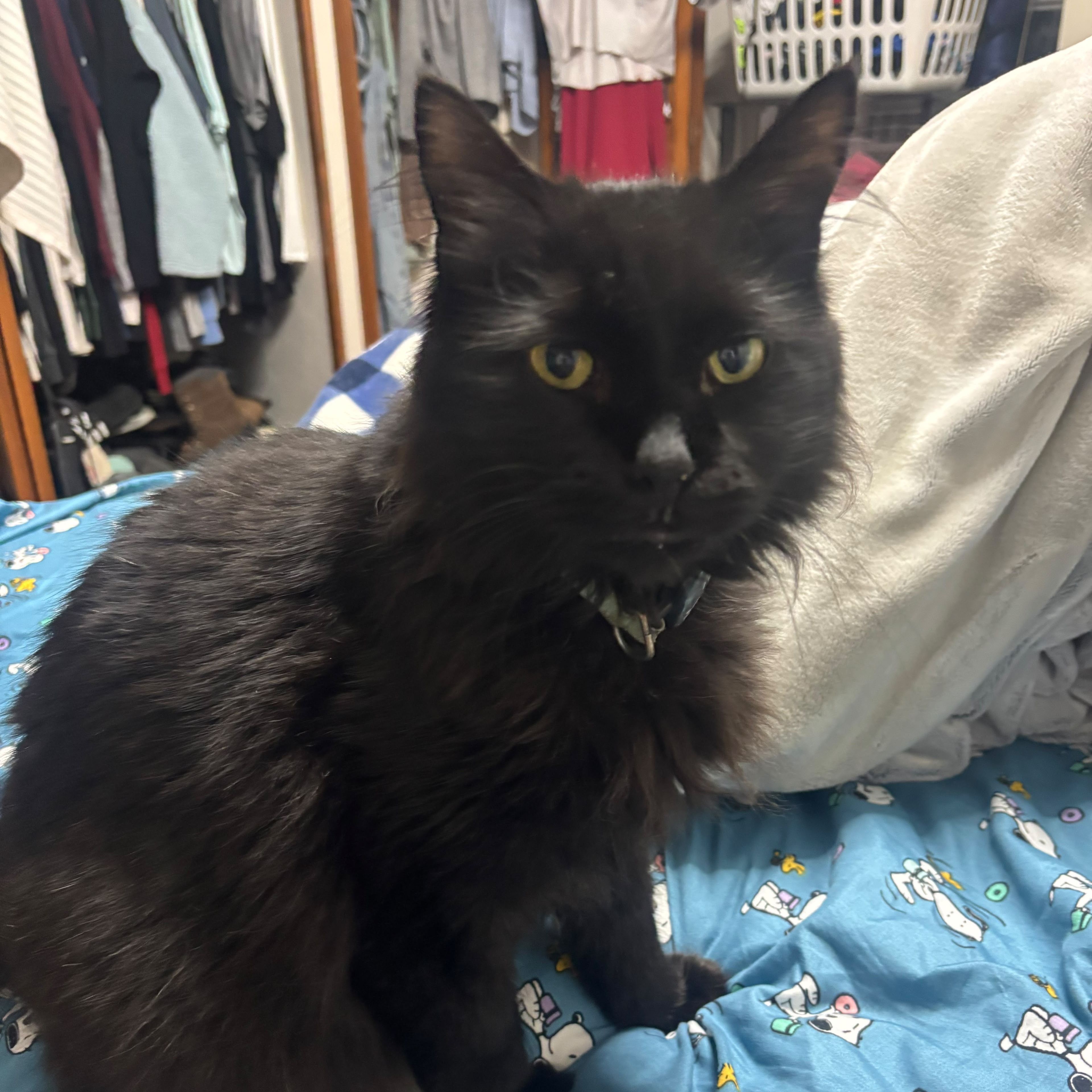 Salem