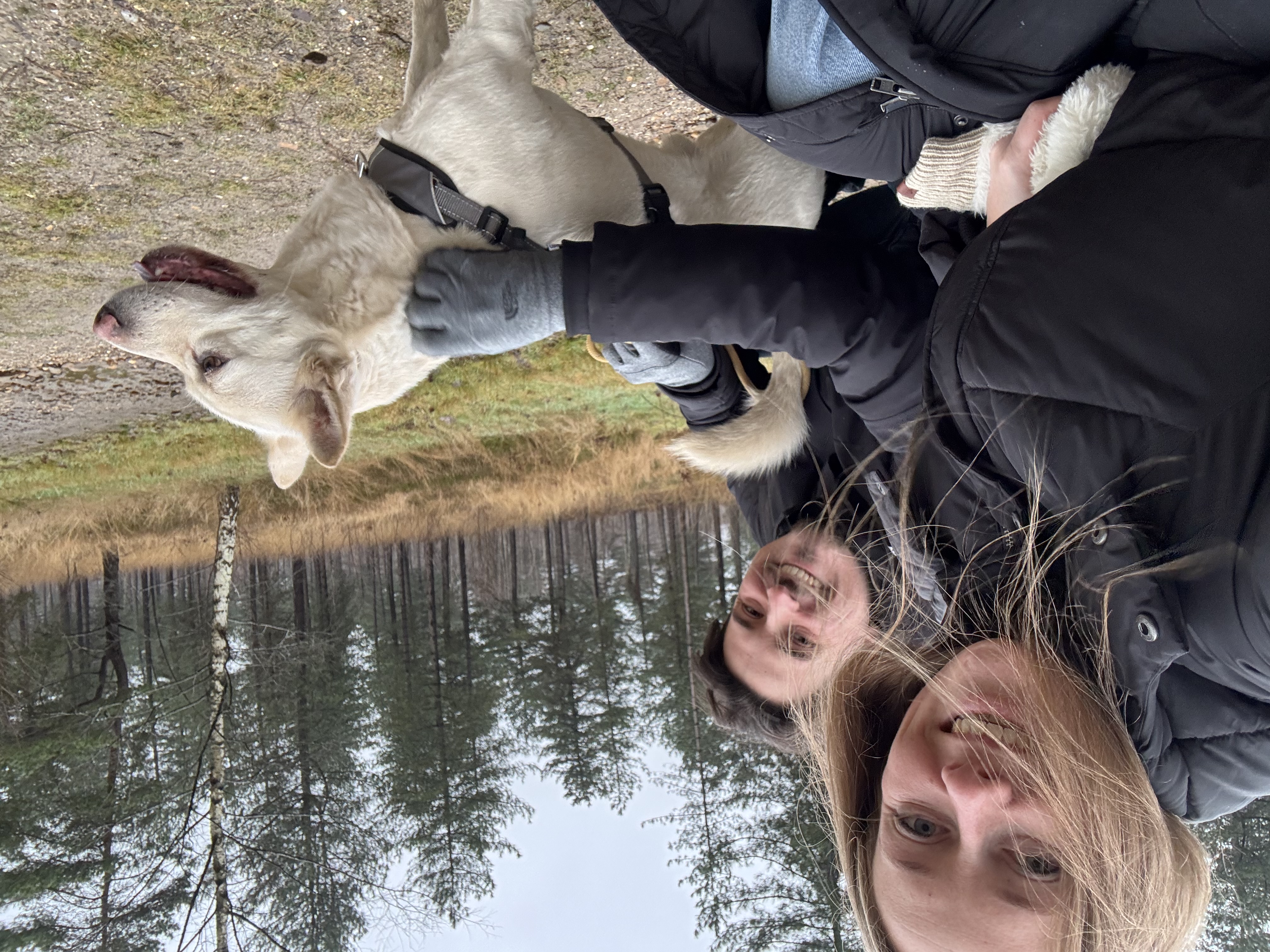 image-0