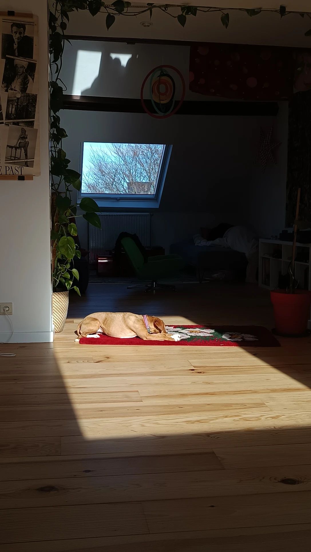 image-9