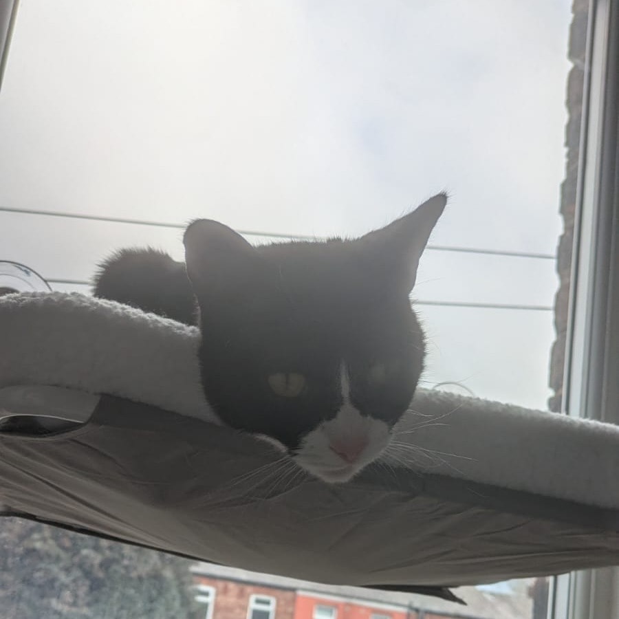 Apollo