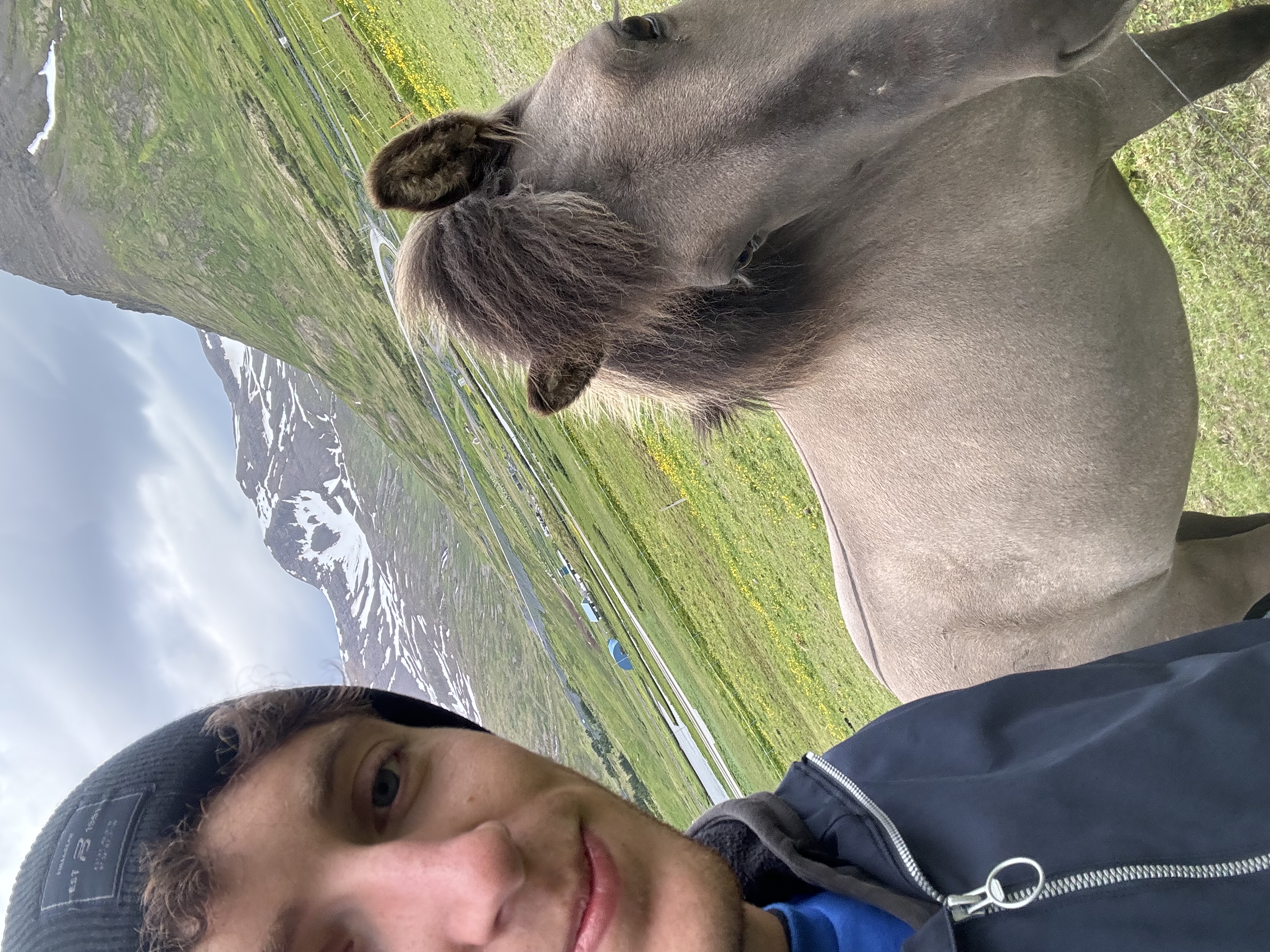 image-5