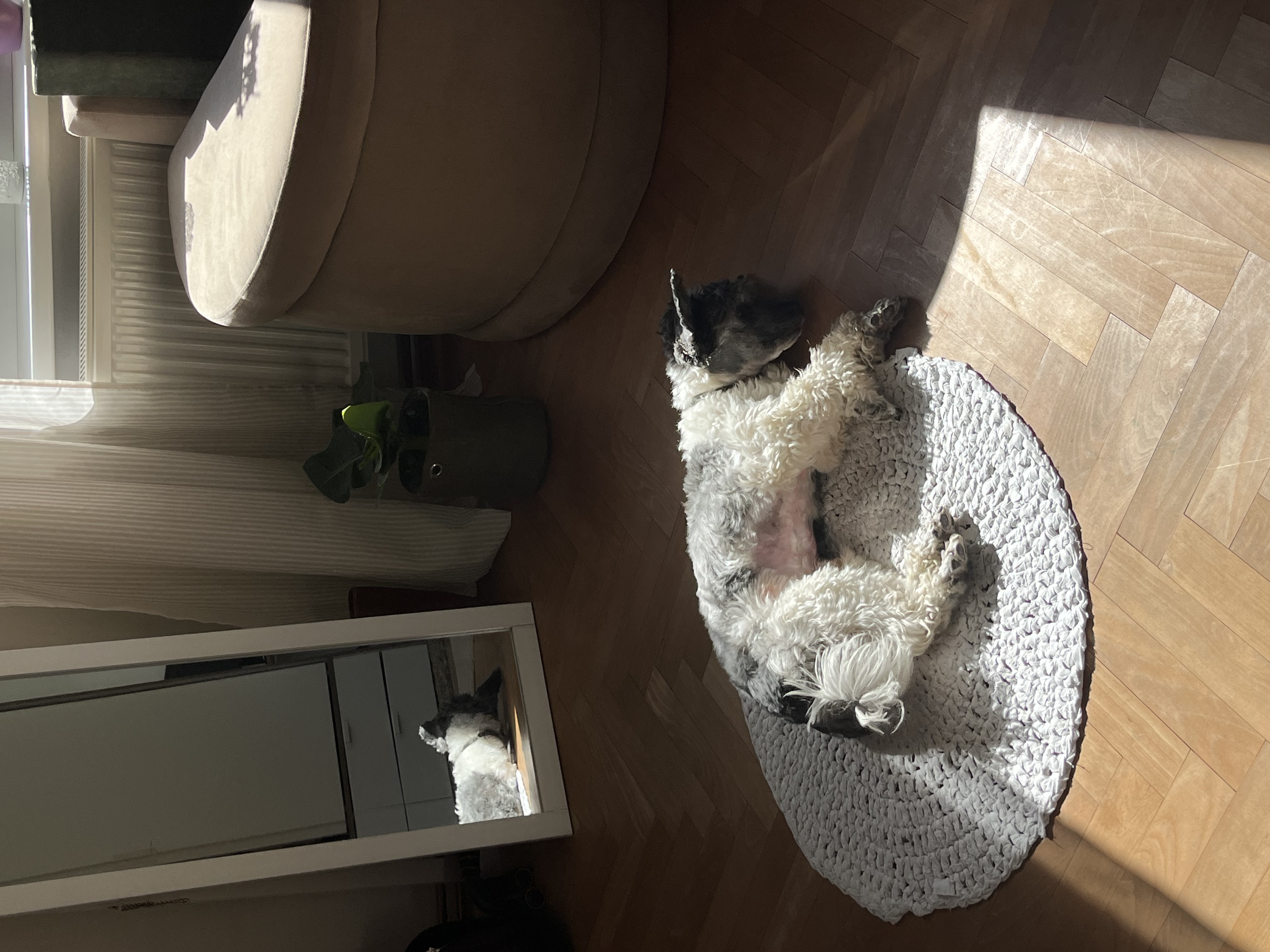 image-15