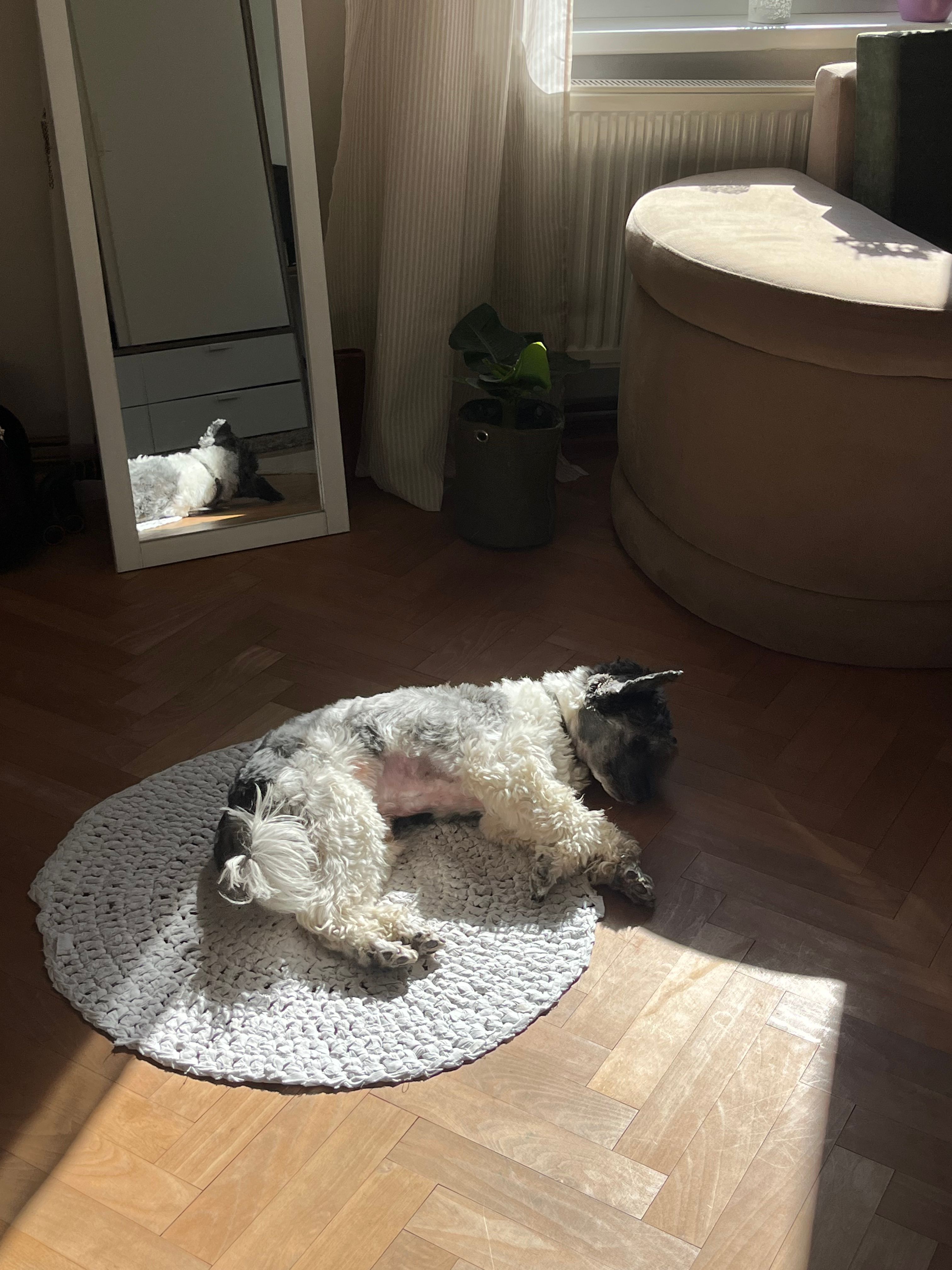 image-15