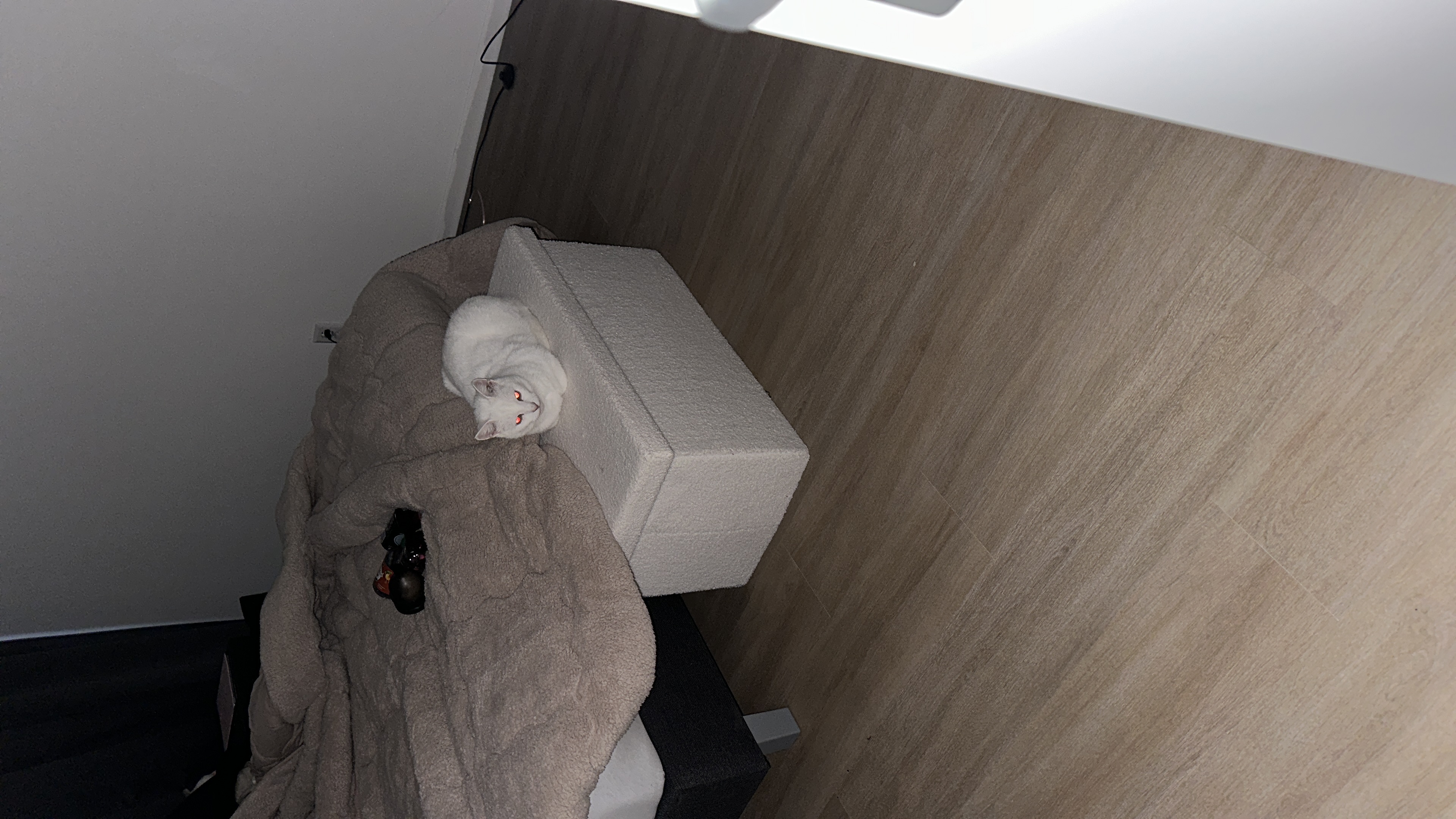 image-11