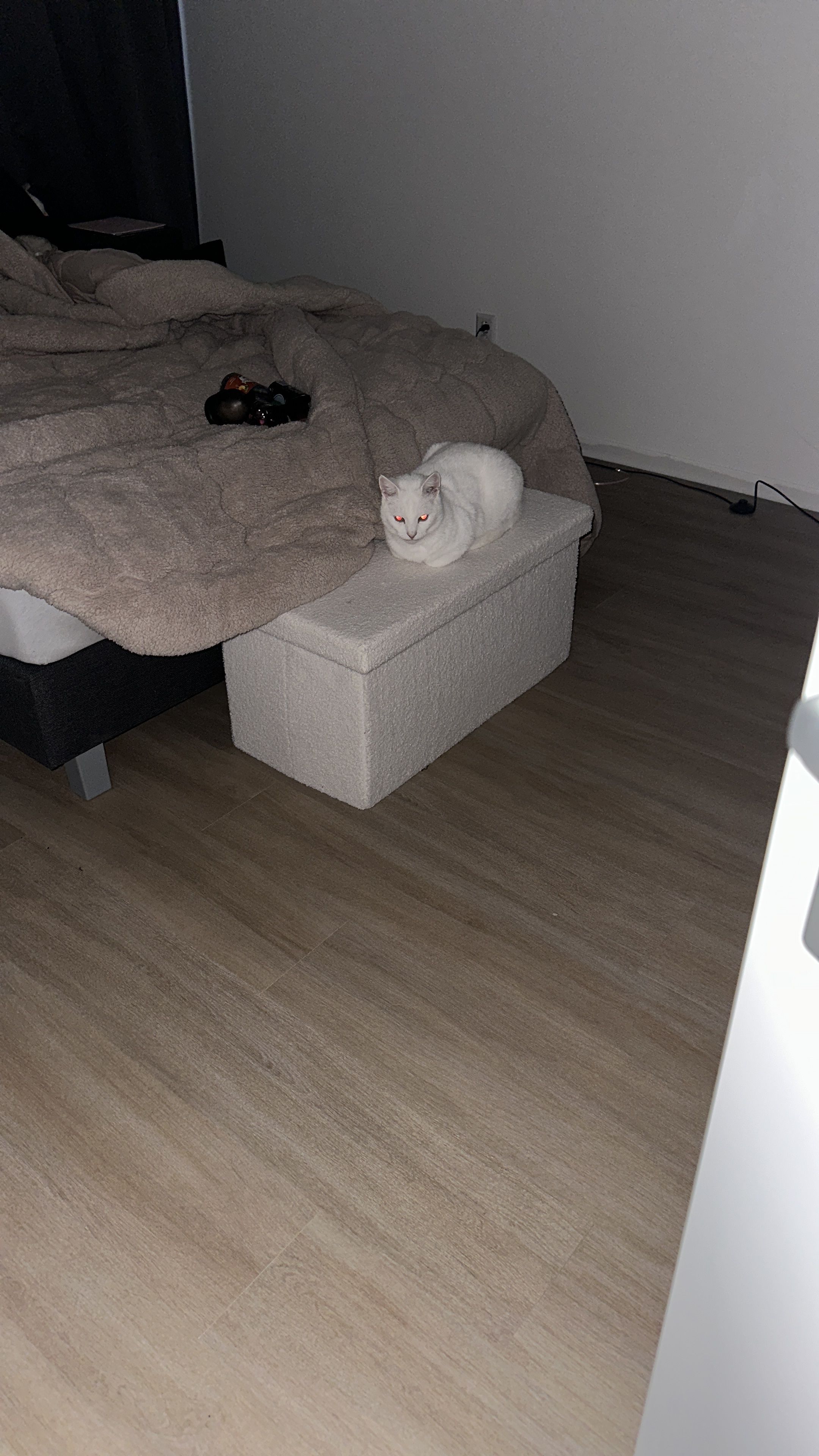 image-11