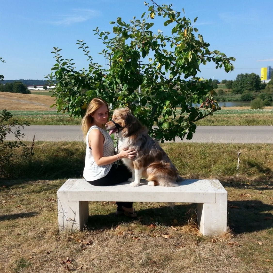 image-5