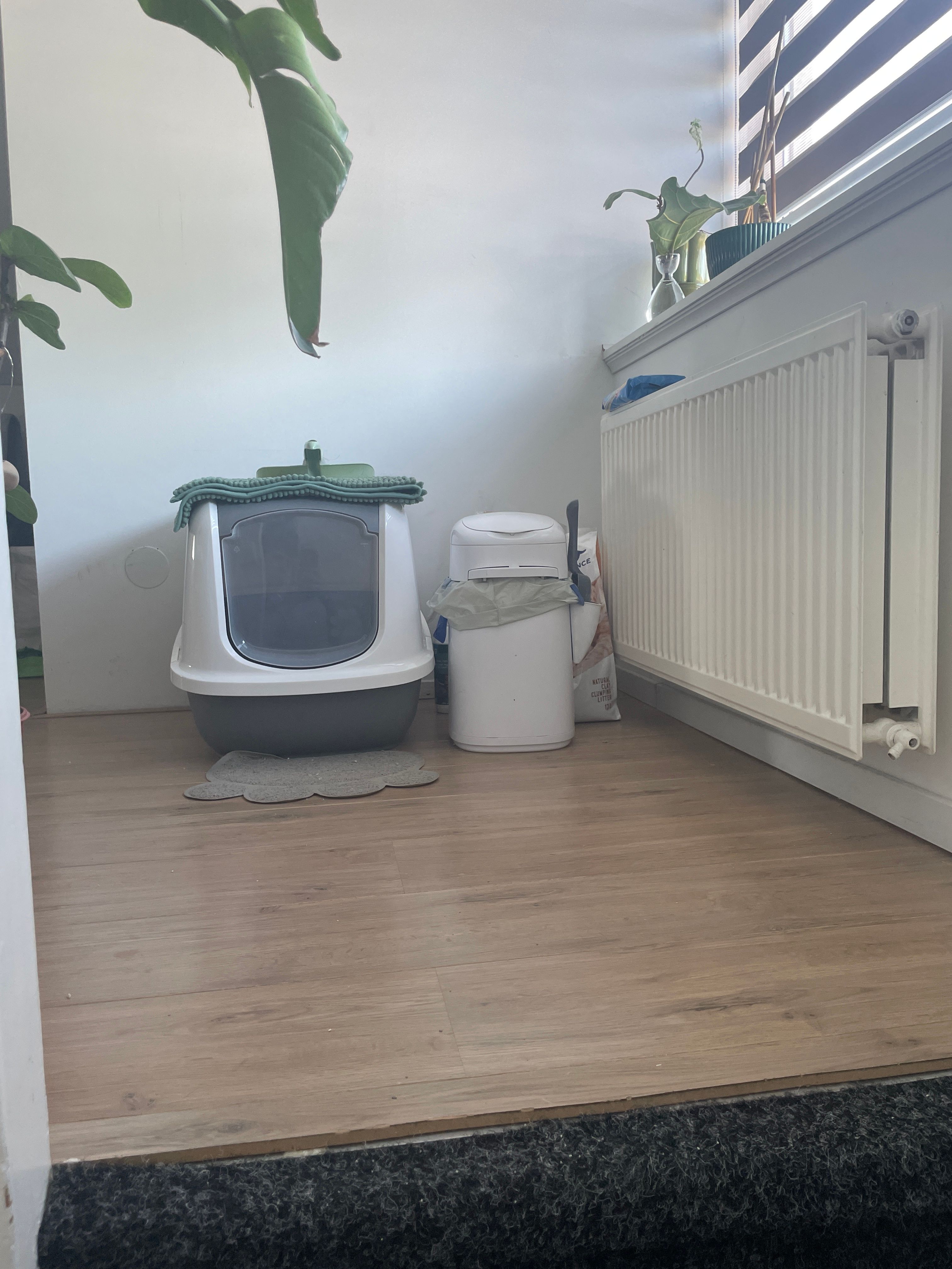 image-15