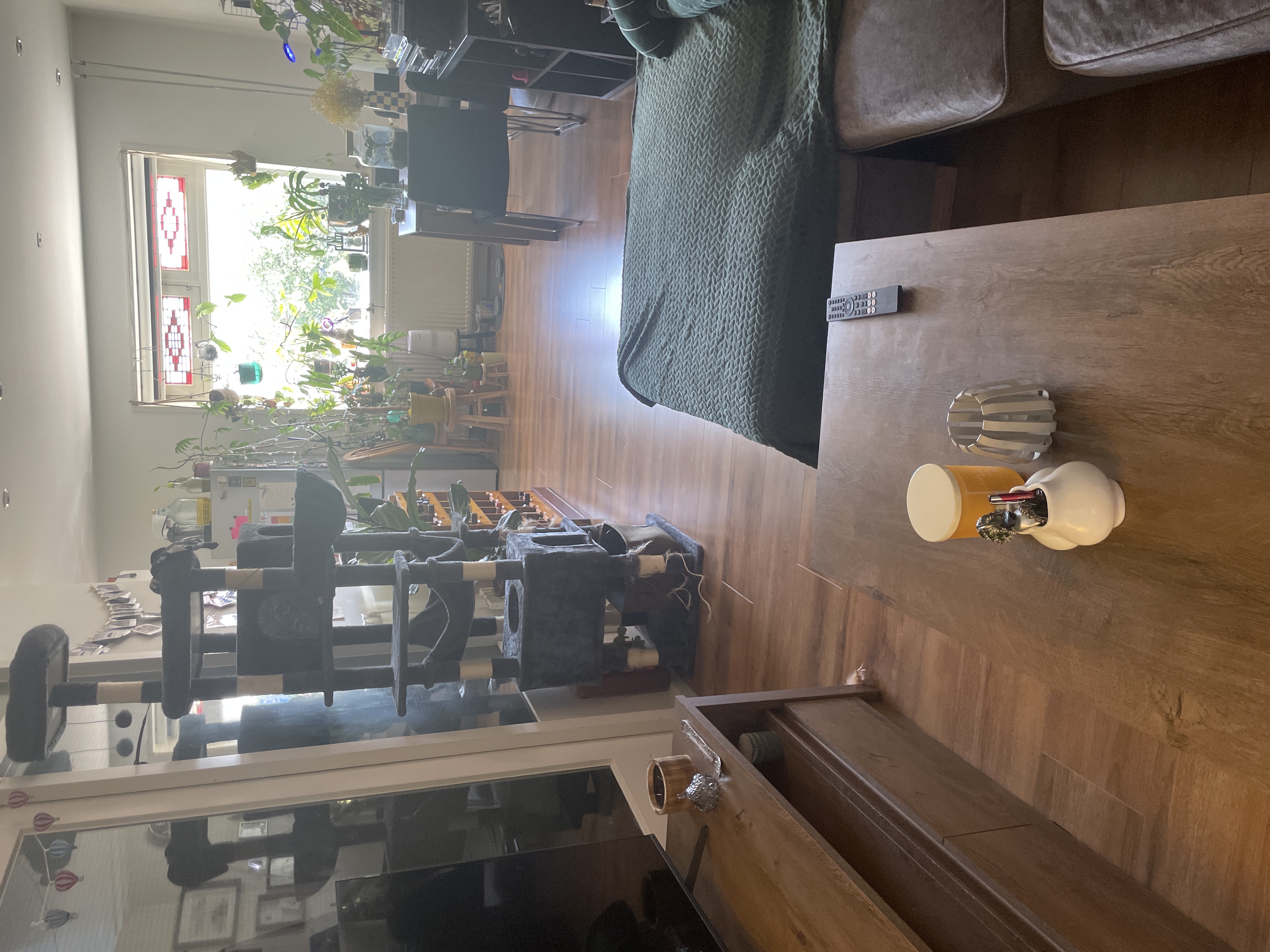 image-13