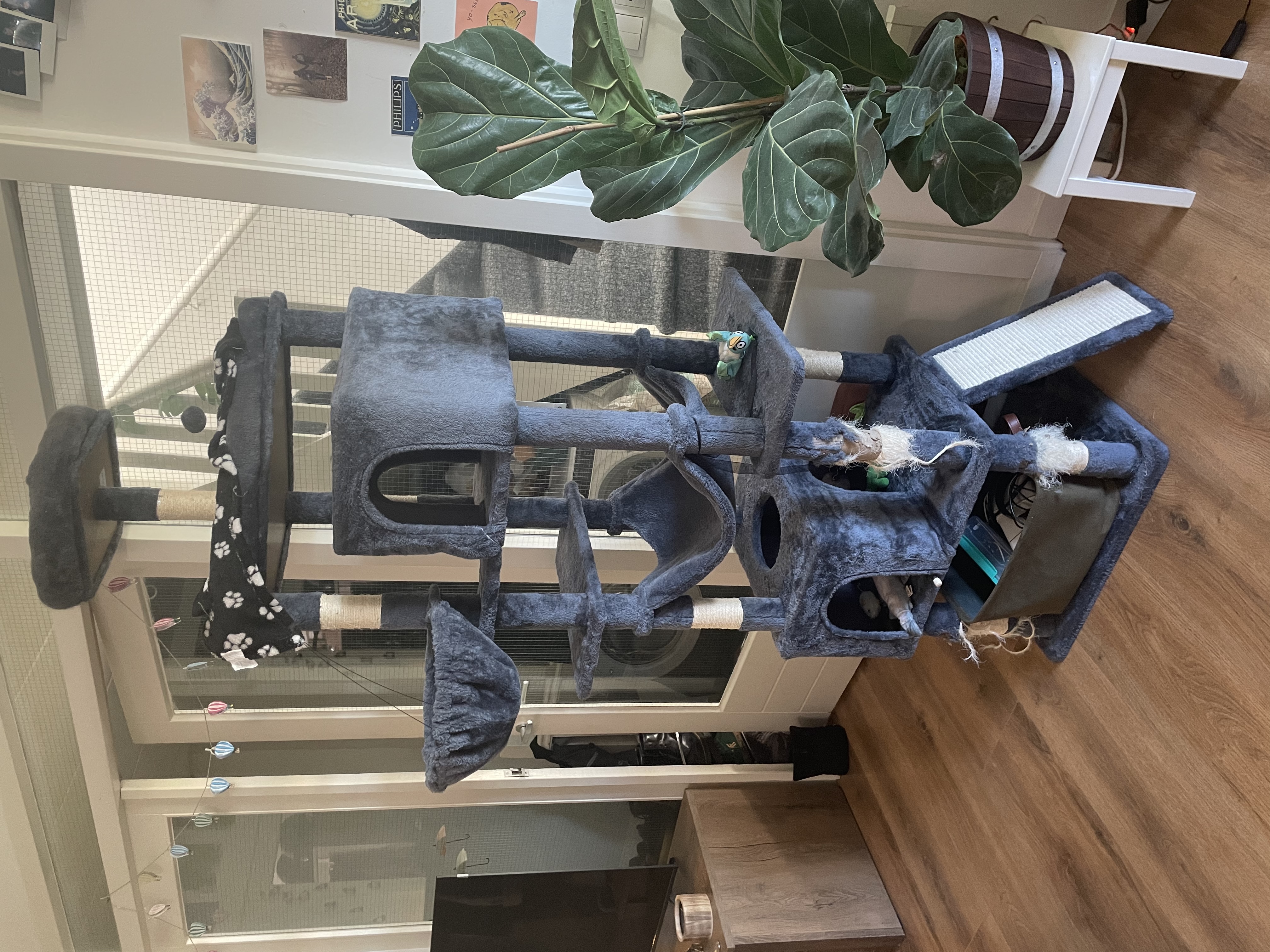 image-10