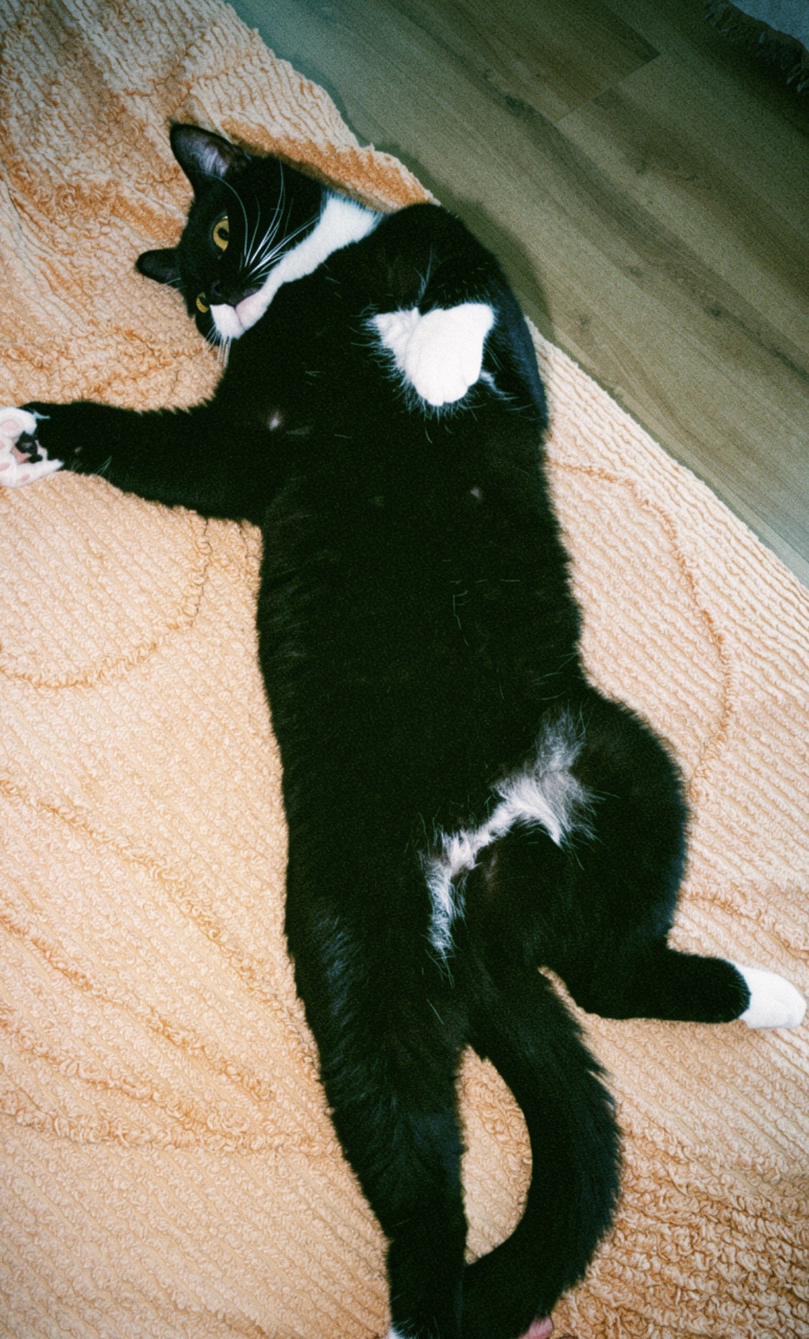 image-8