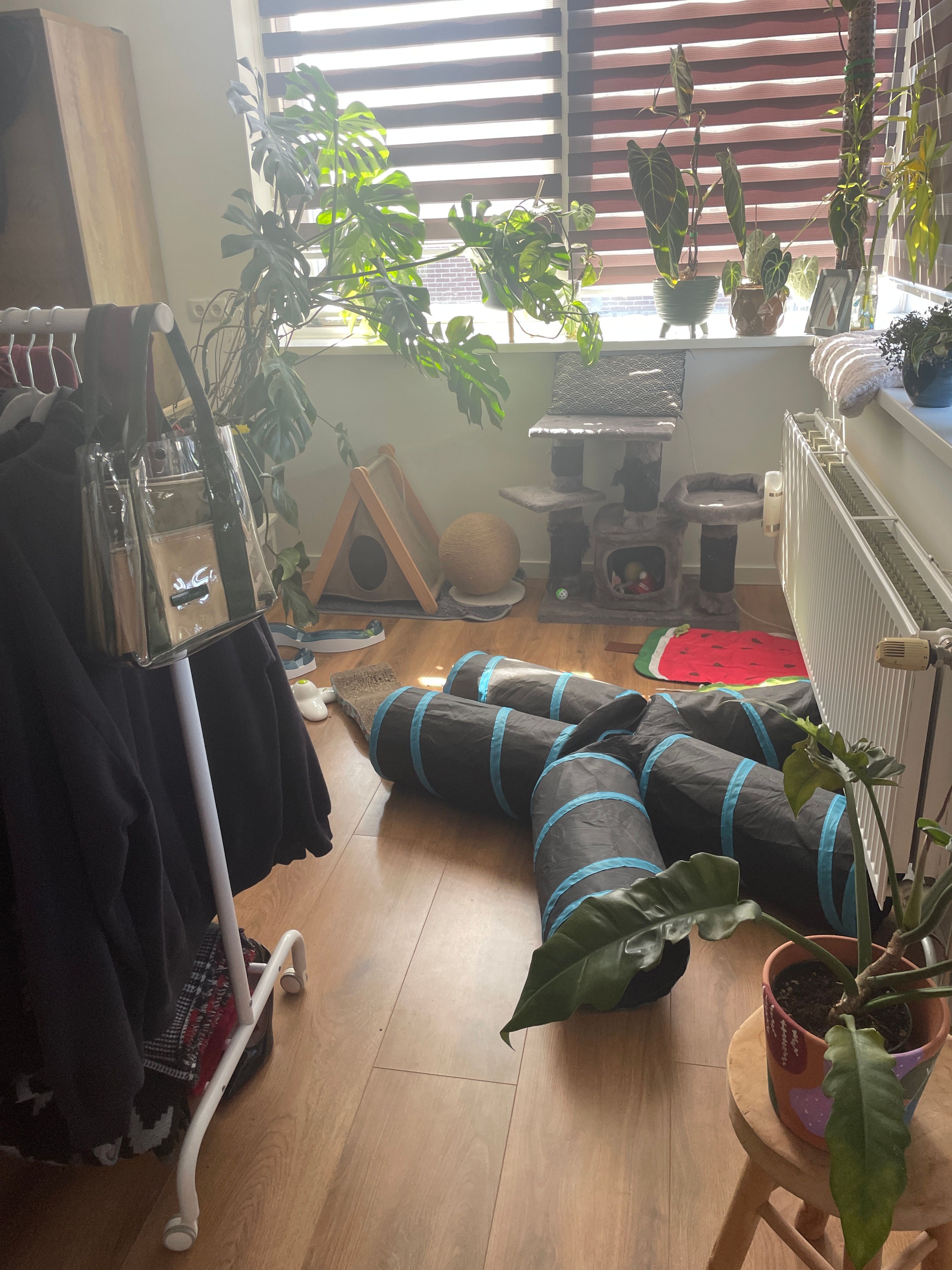 image-12