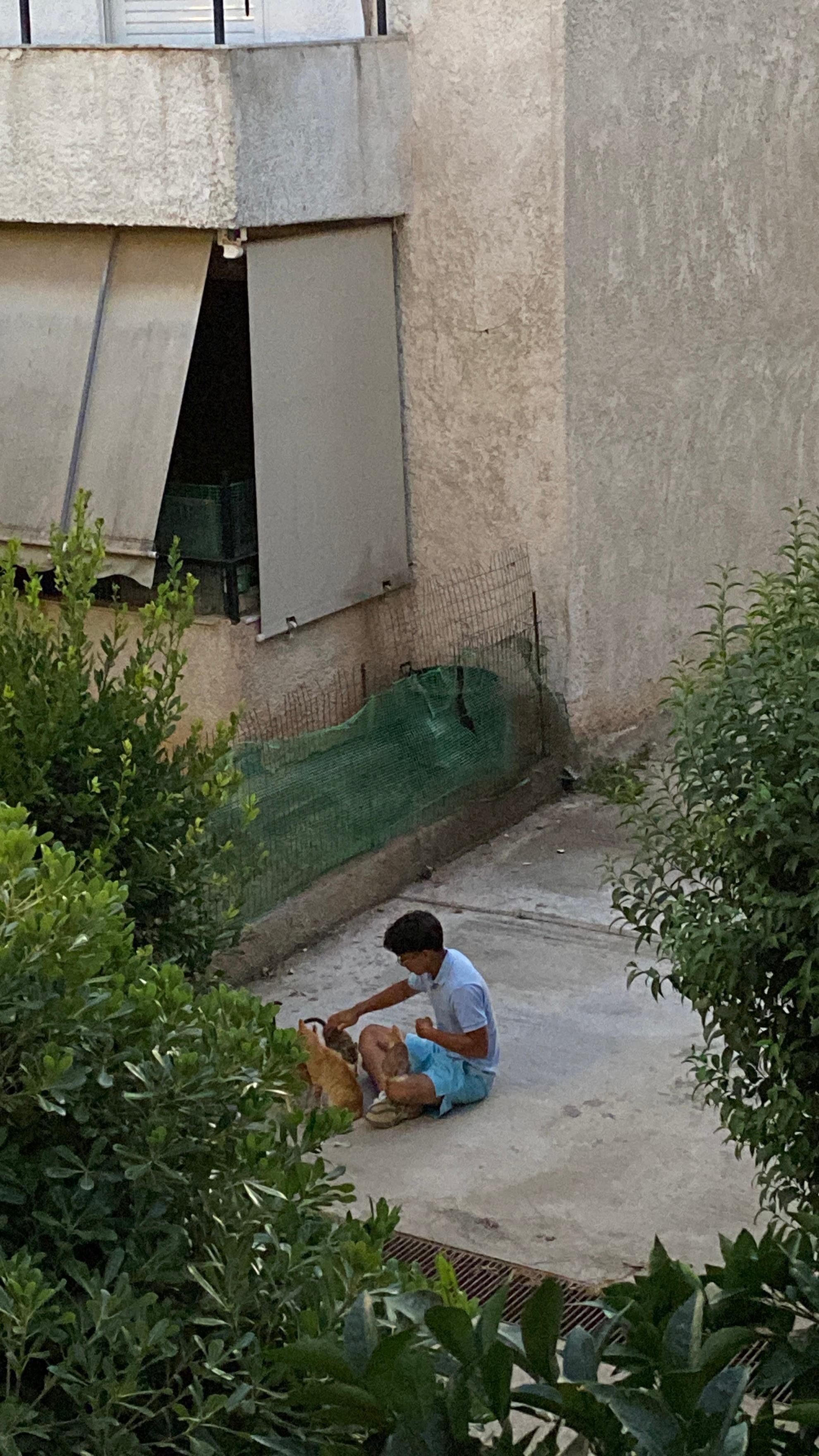 image-7