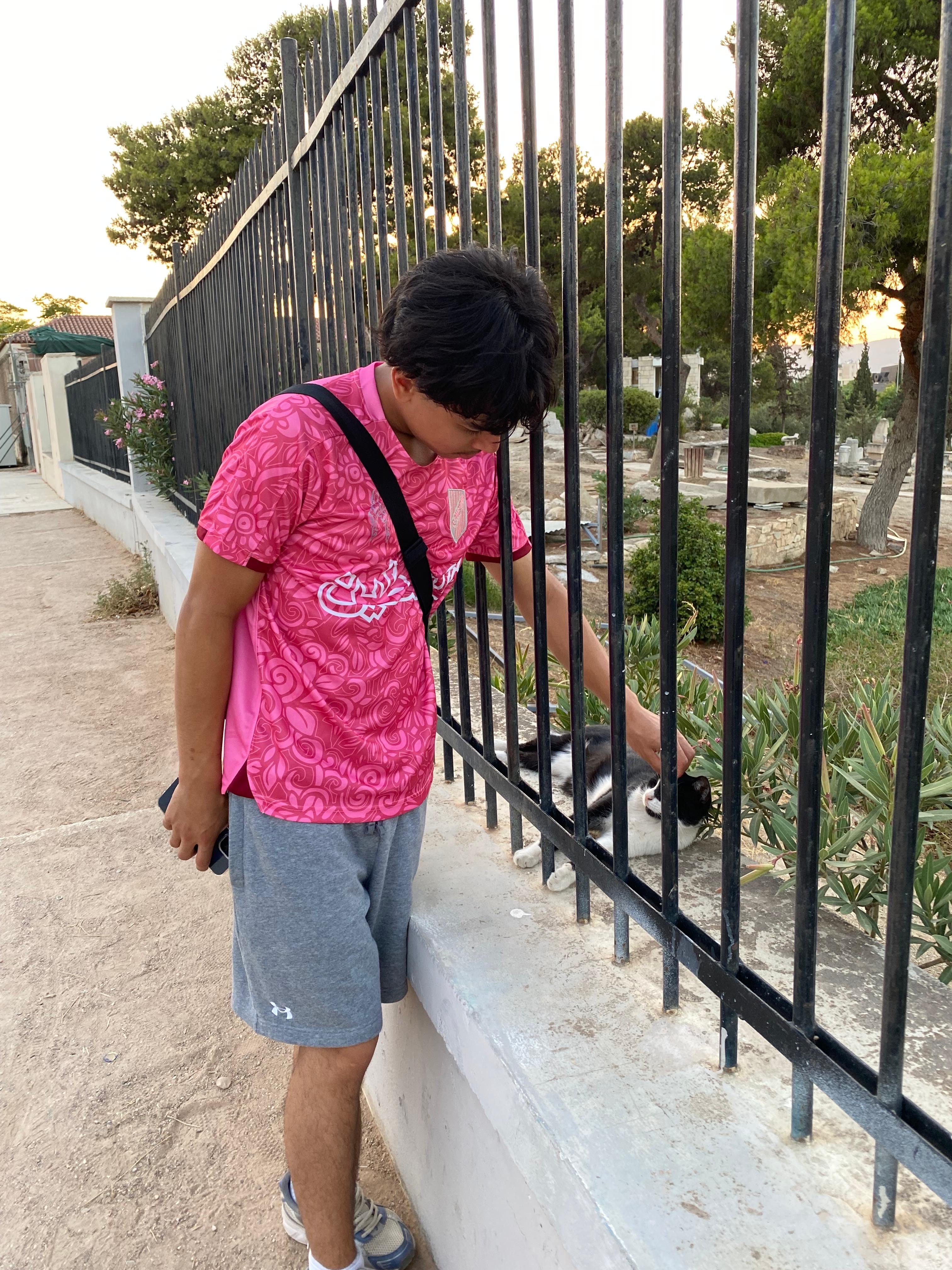 image-6
