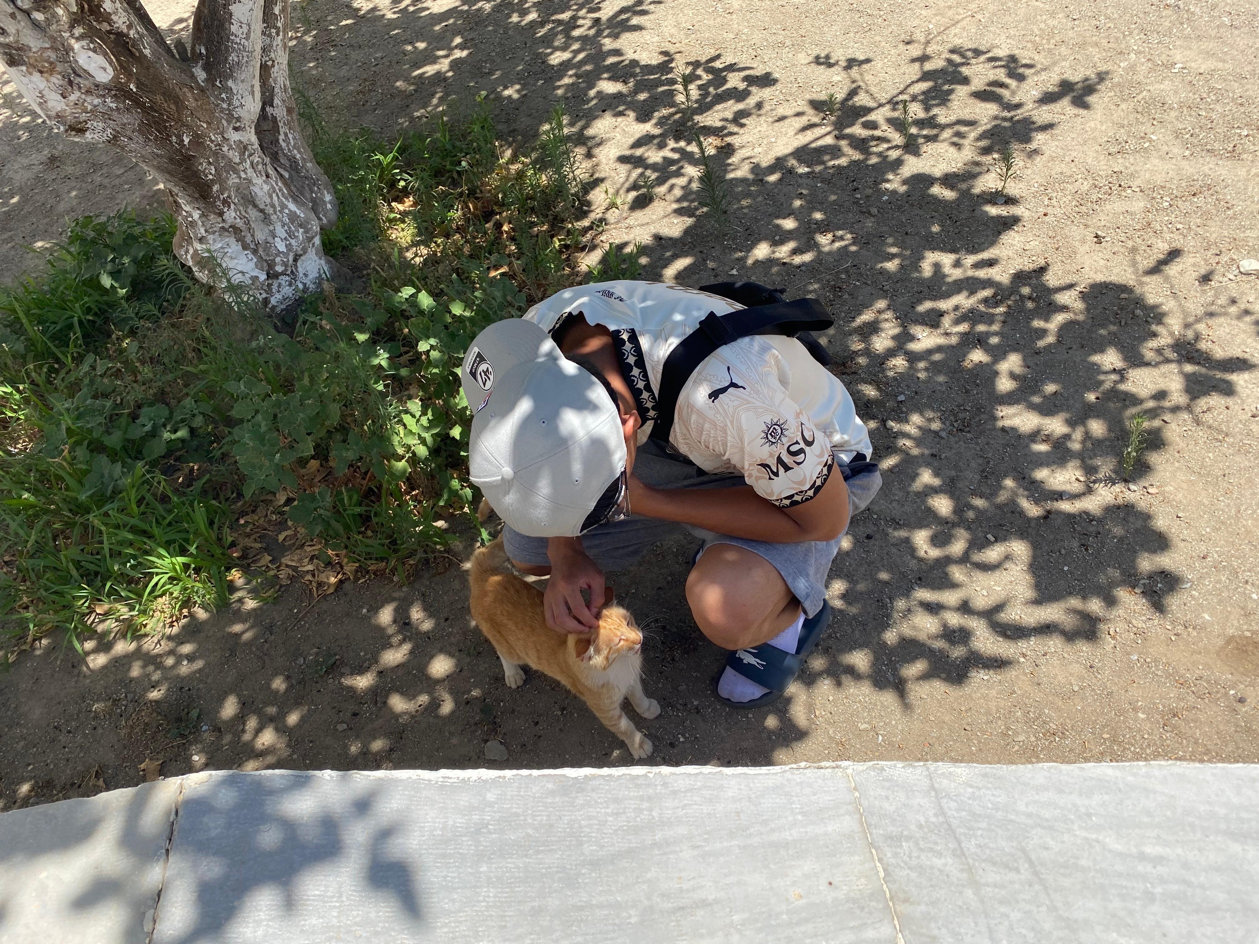 image-9