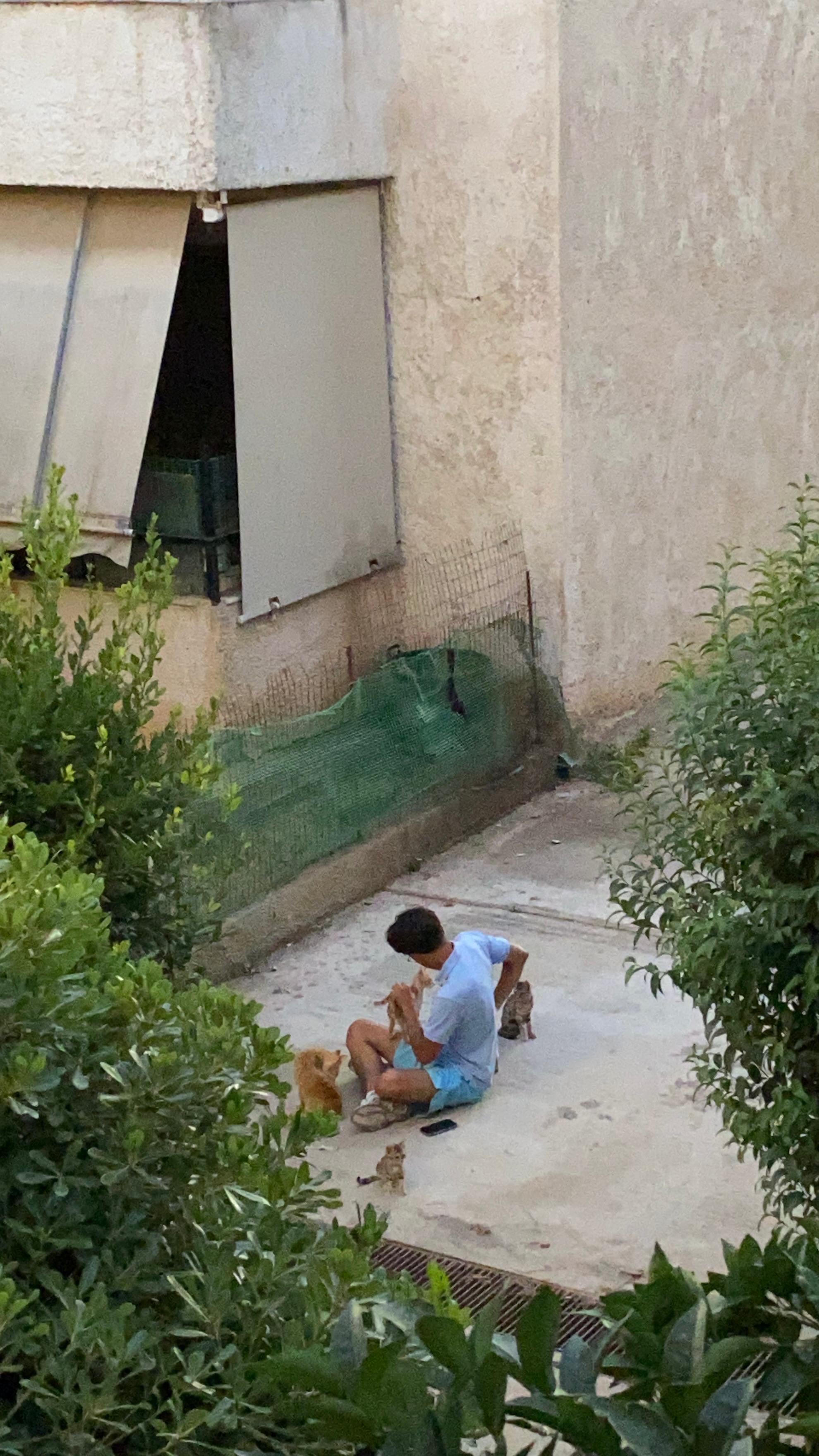 image-8