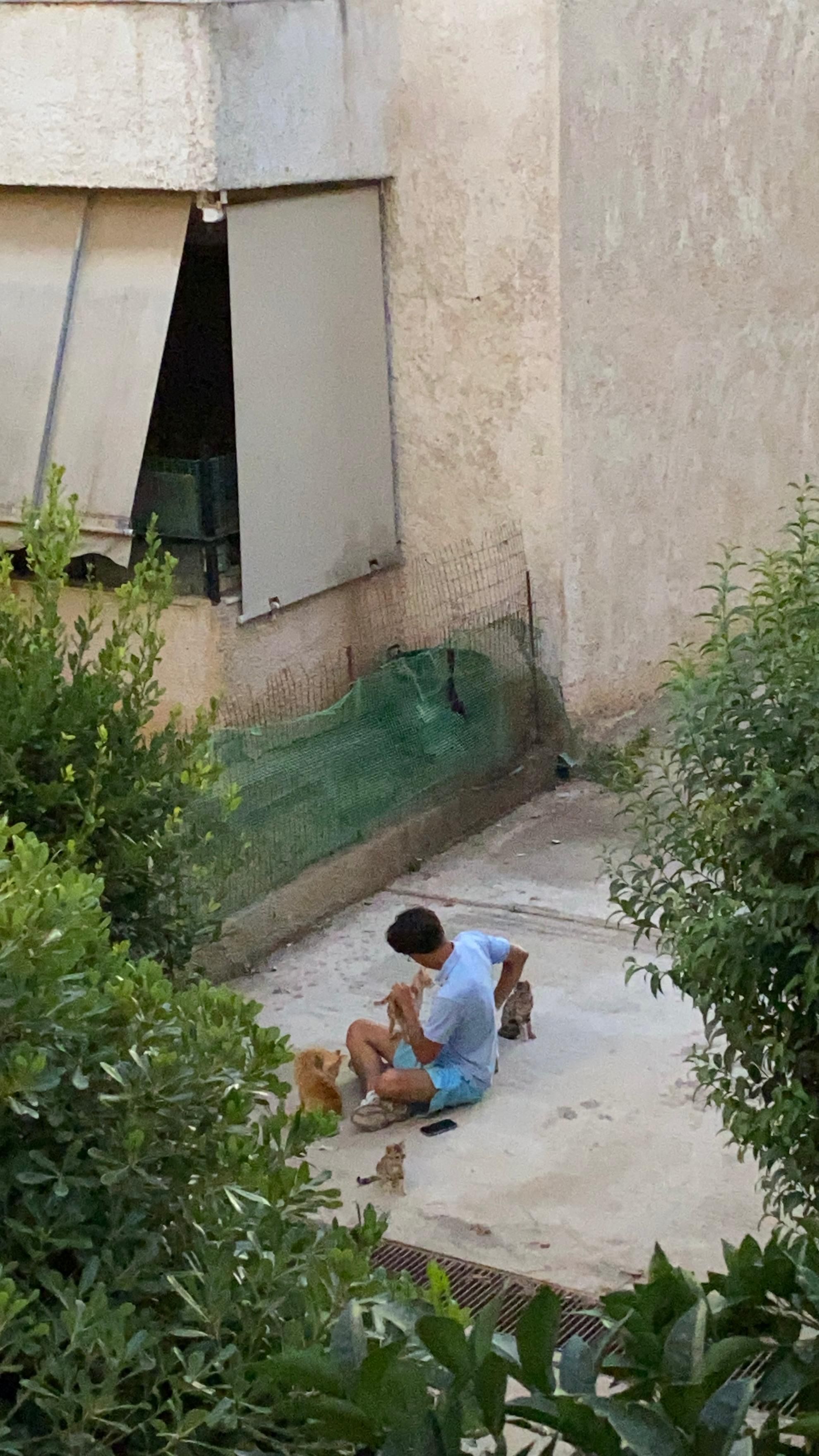 image-8