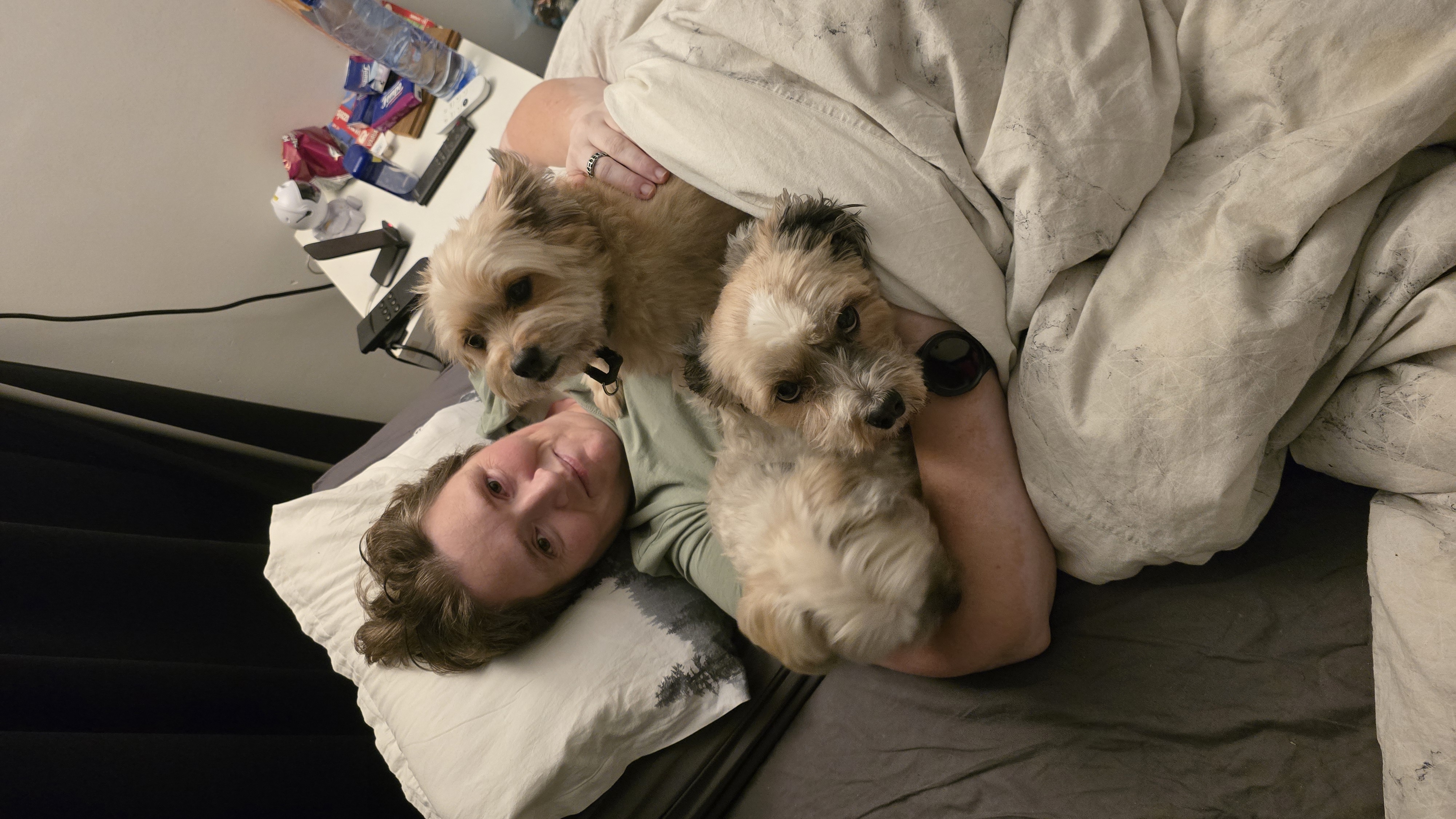 image-6