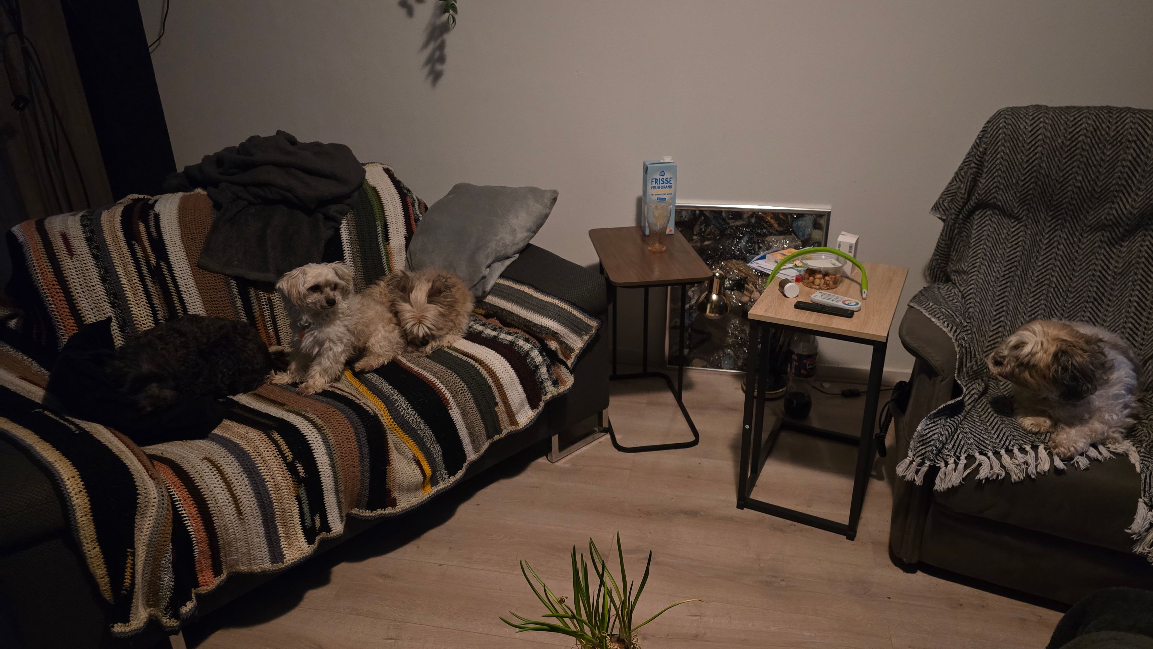 image-10