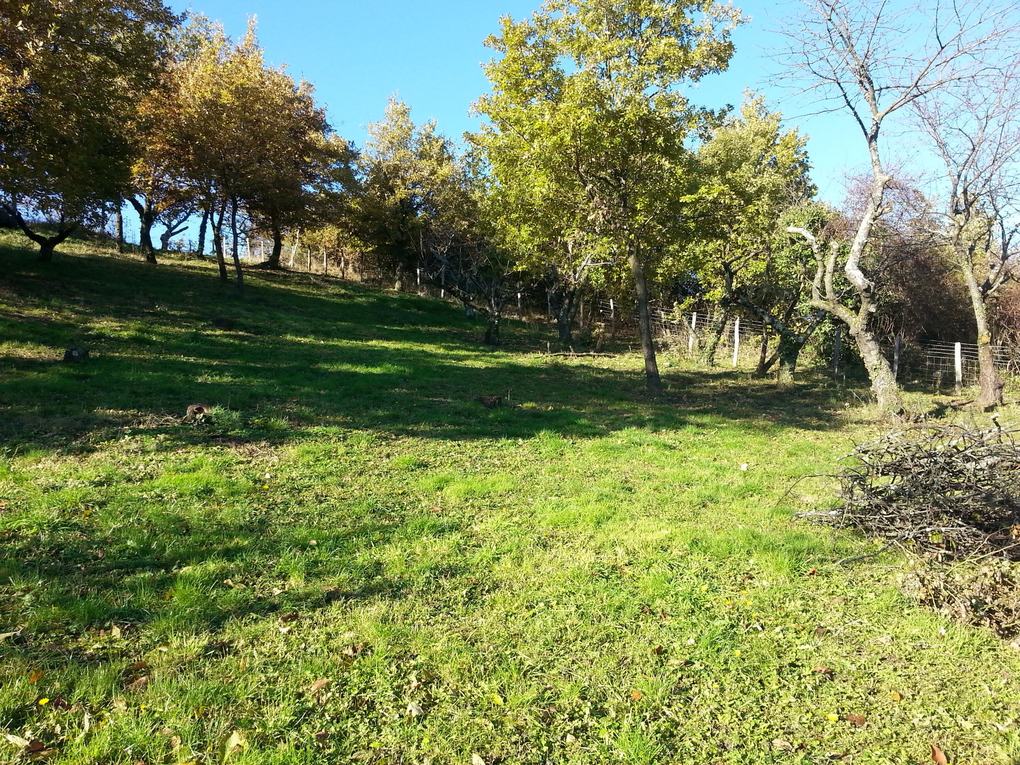 image-10