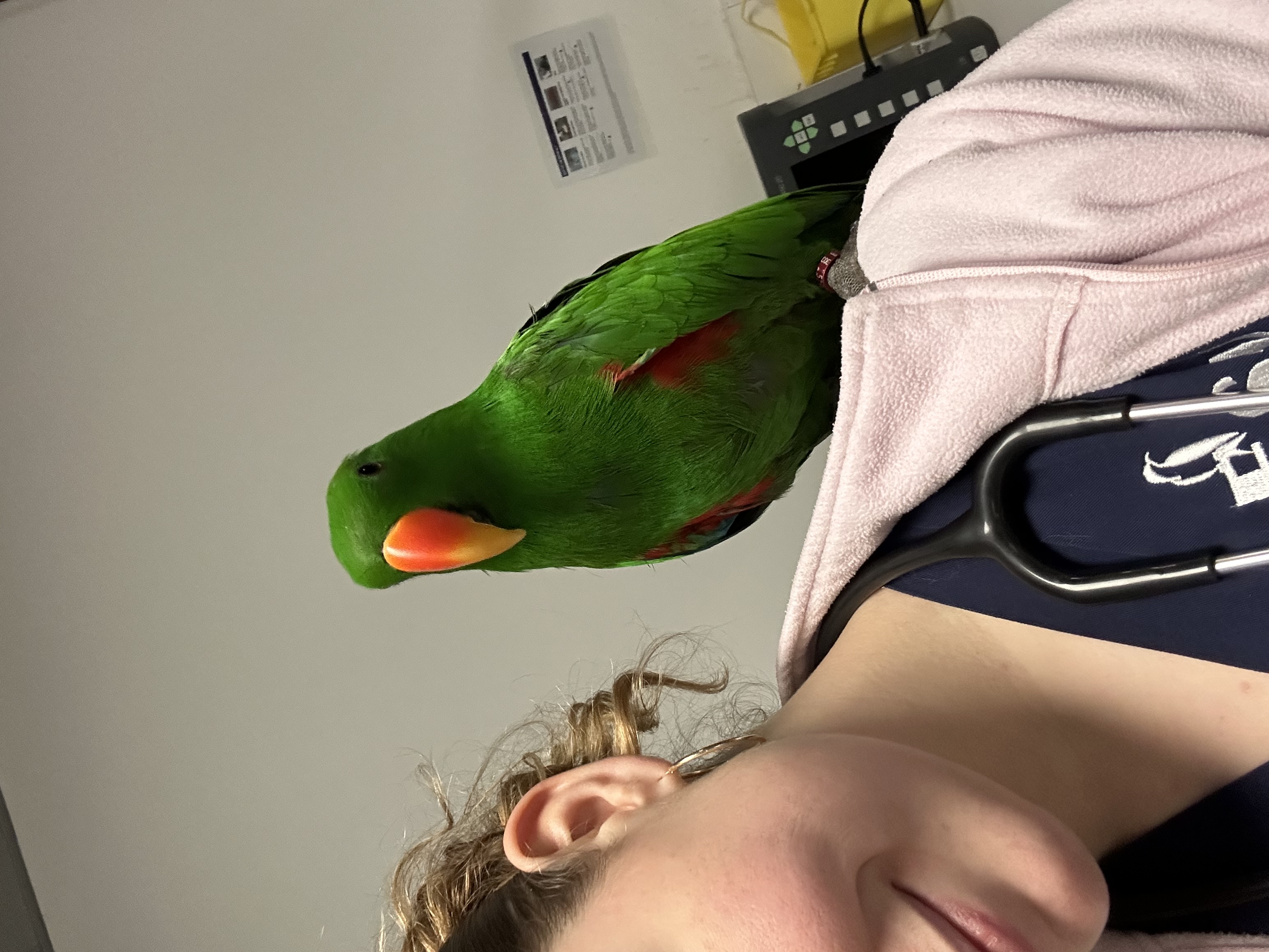 image-6