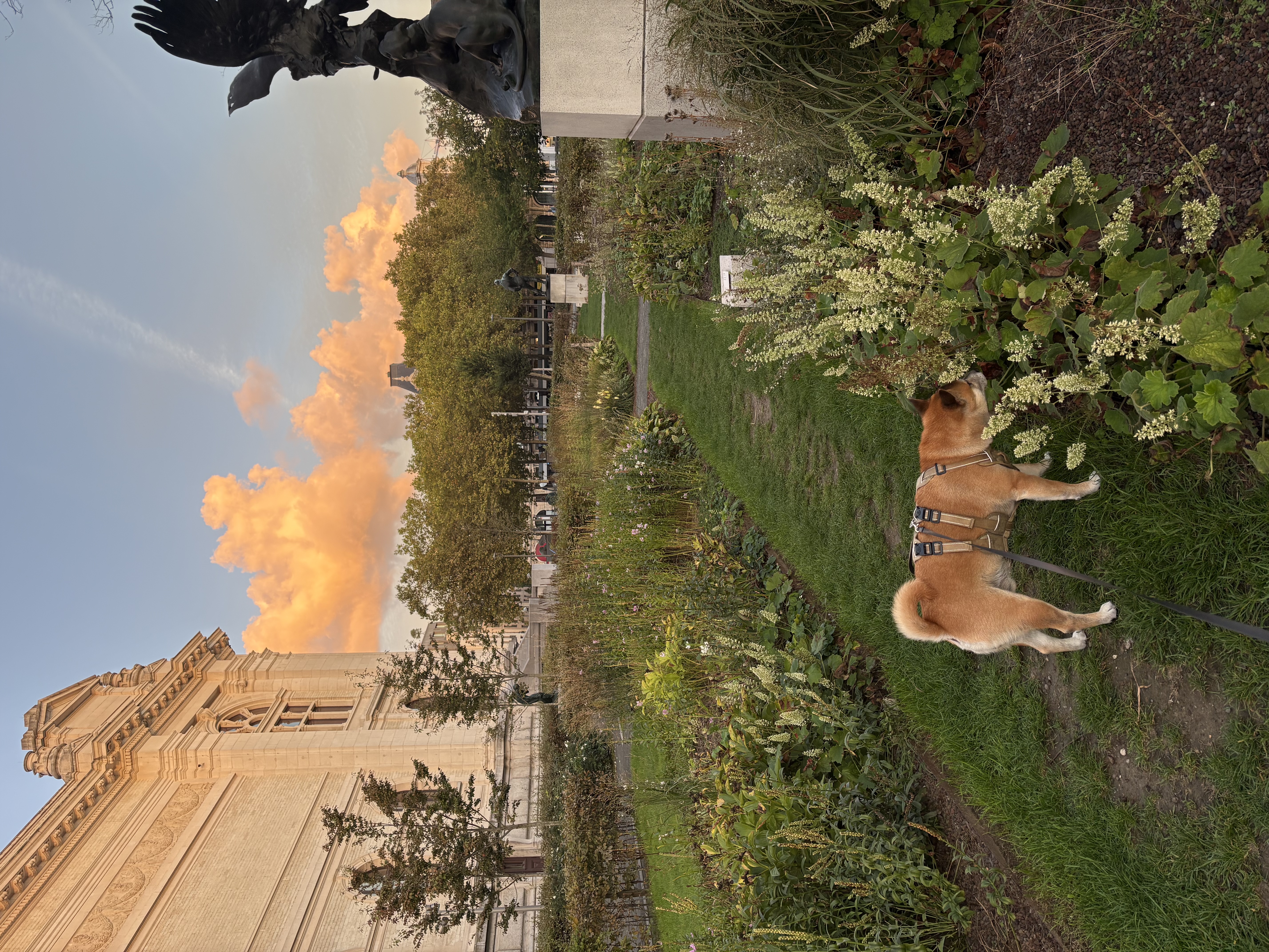 image-21