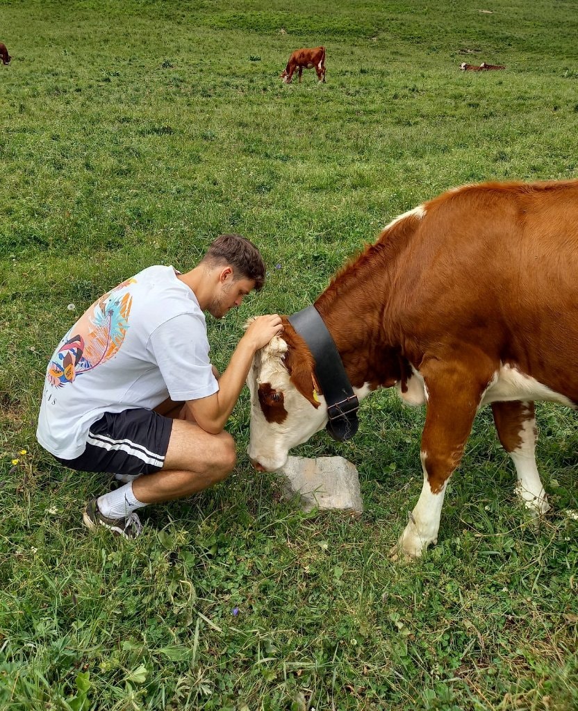 image-7