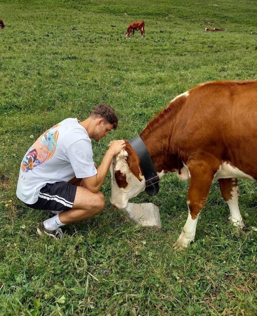 image-7