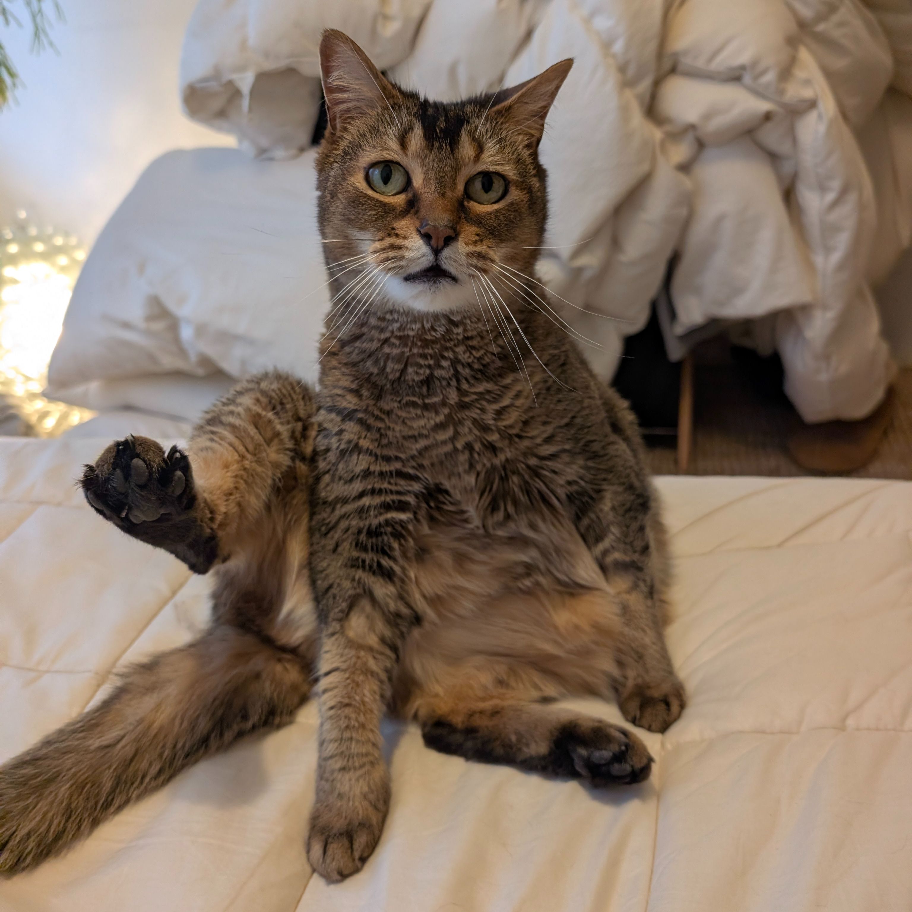 Vanna