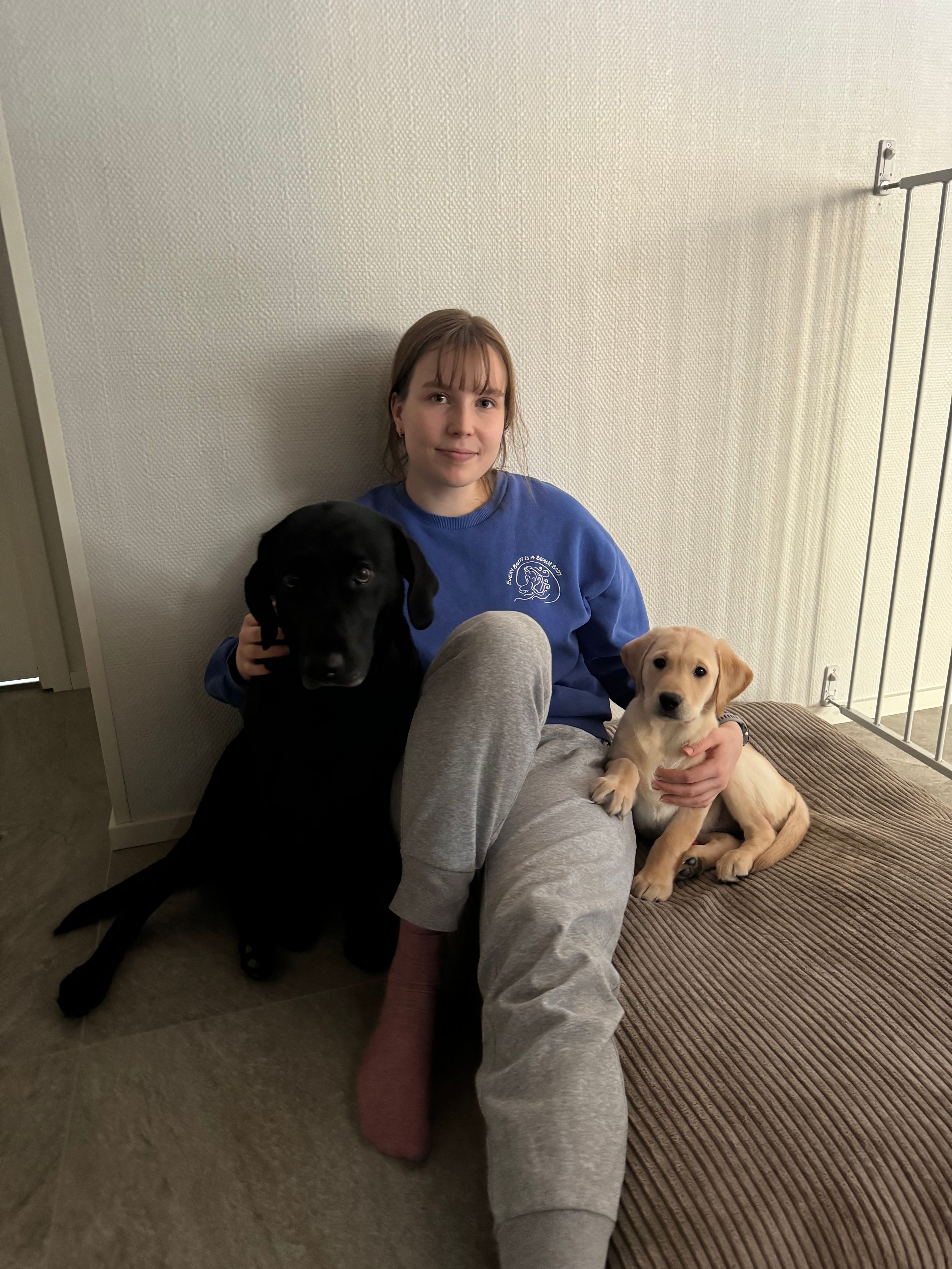 image-8