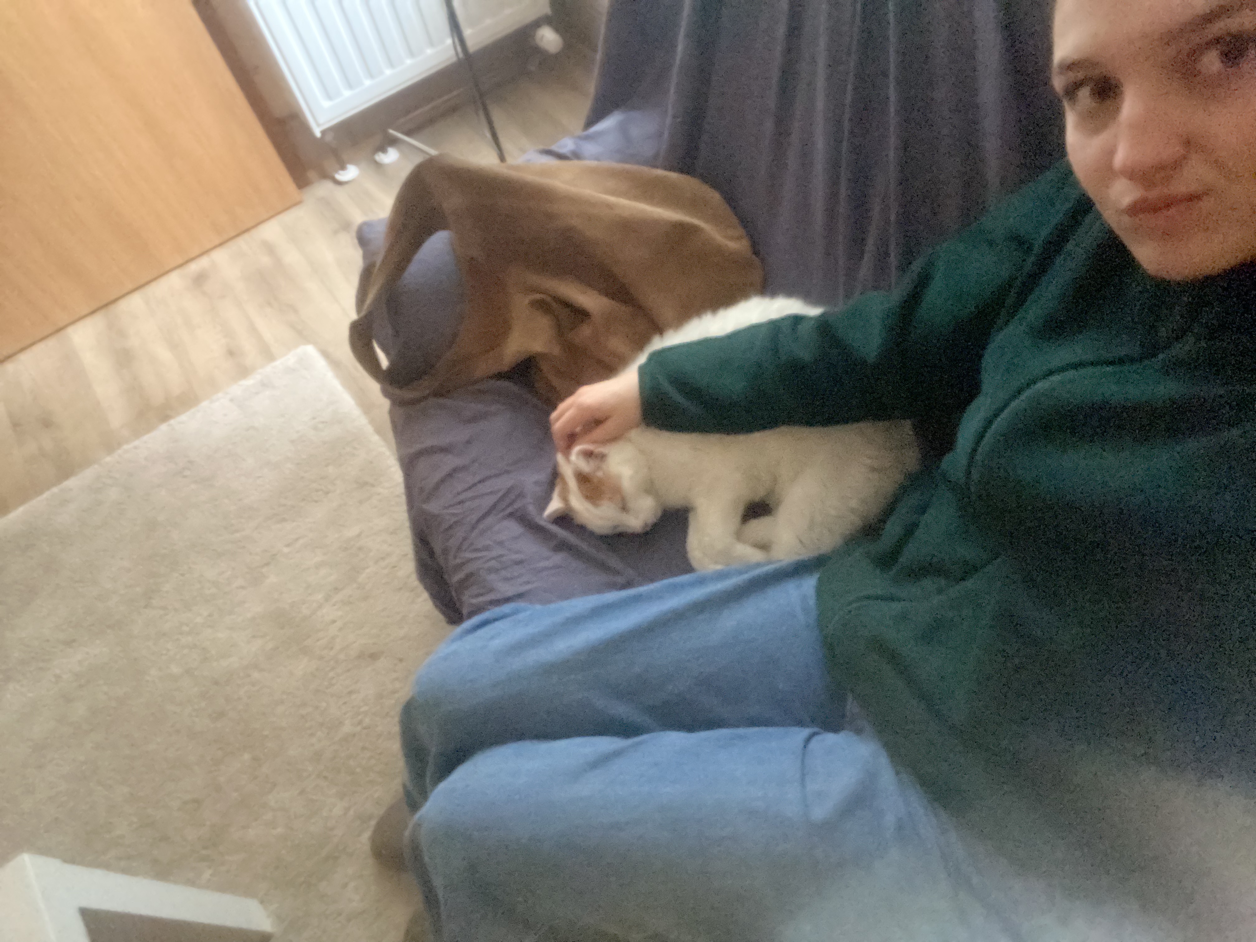 image-6