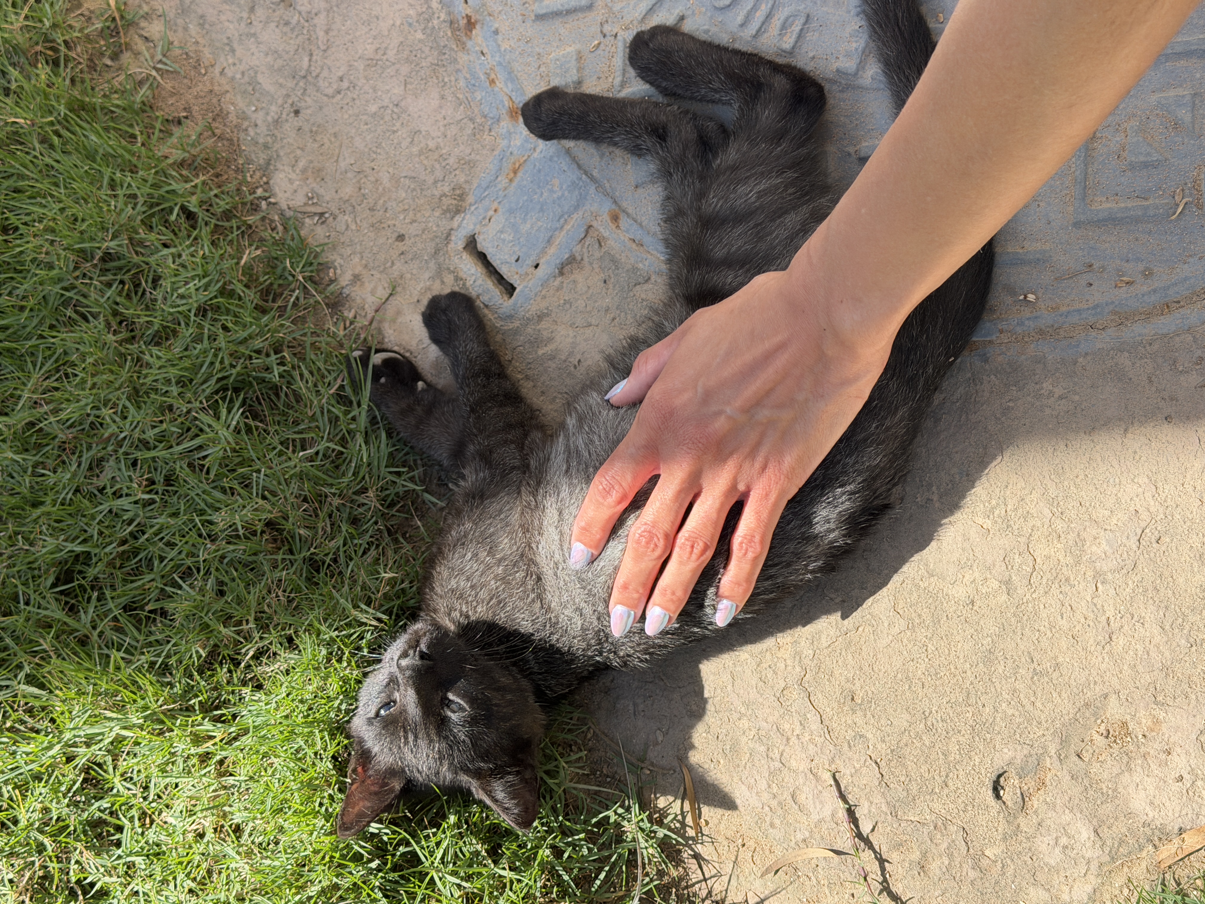 image-7