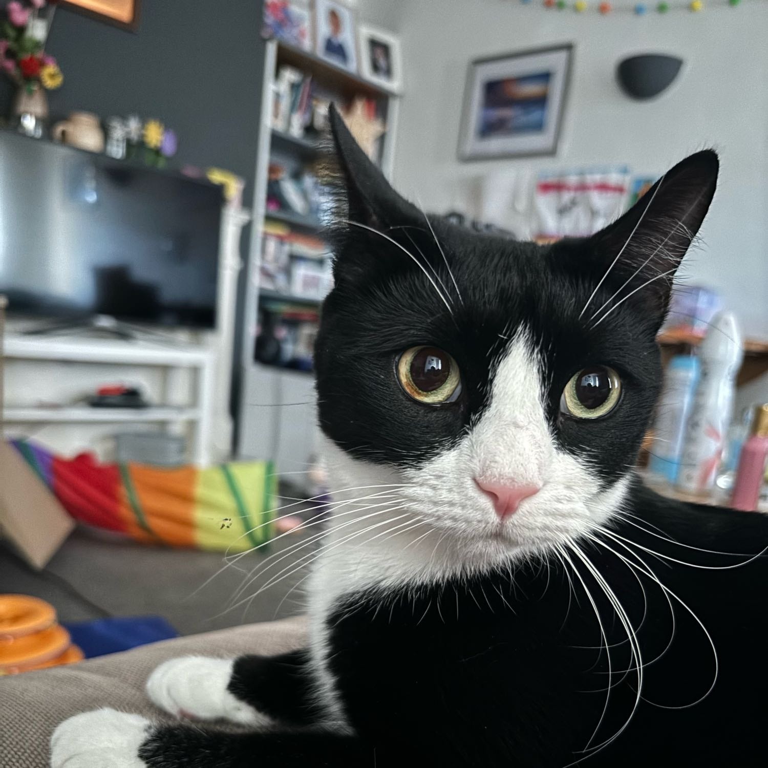 Binx