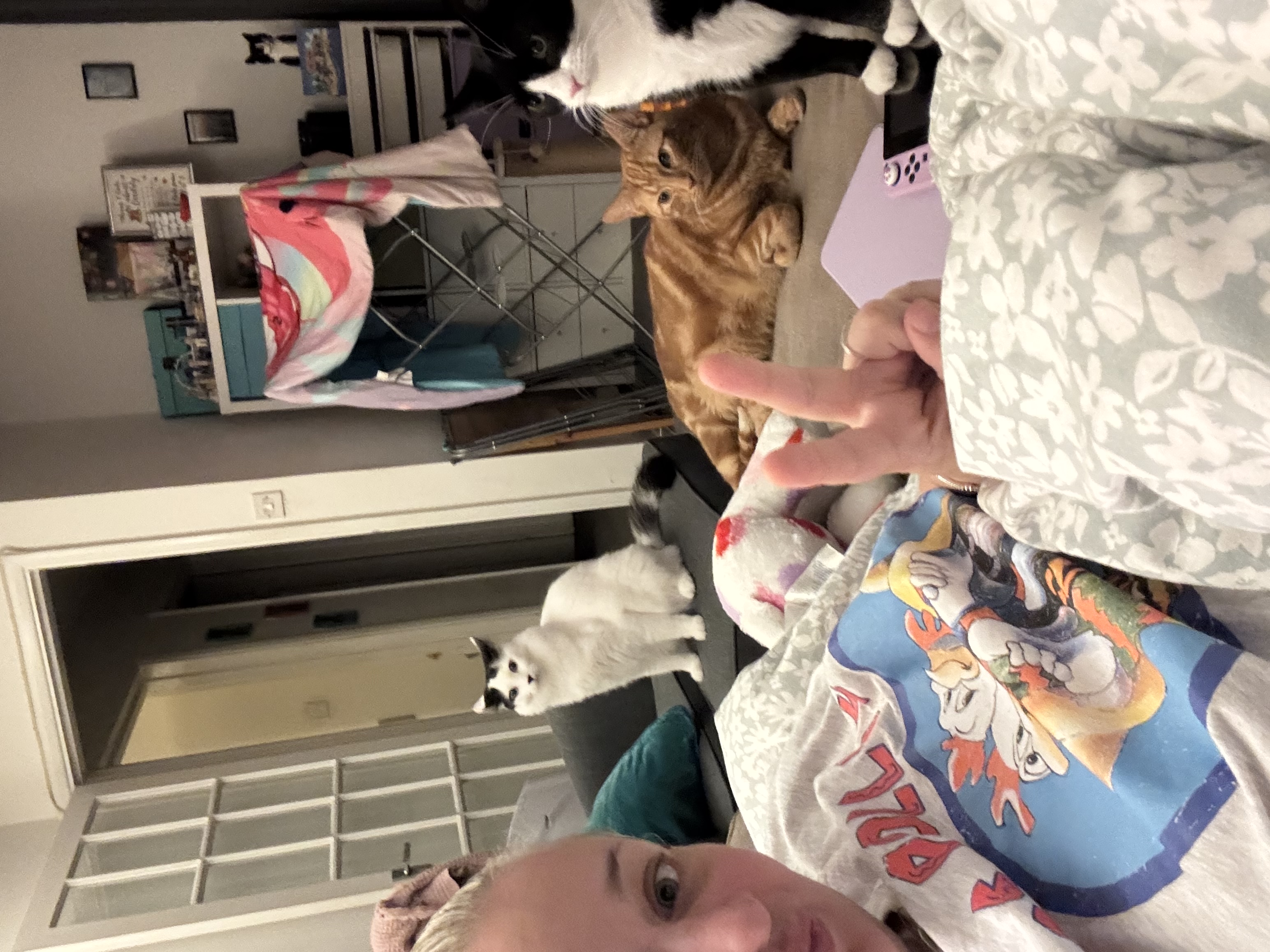 image-7