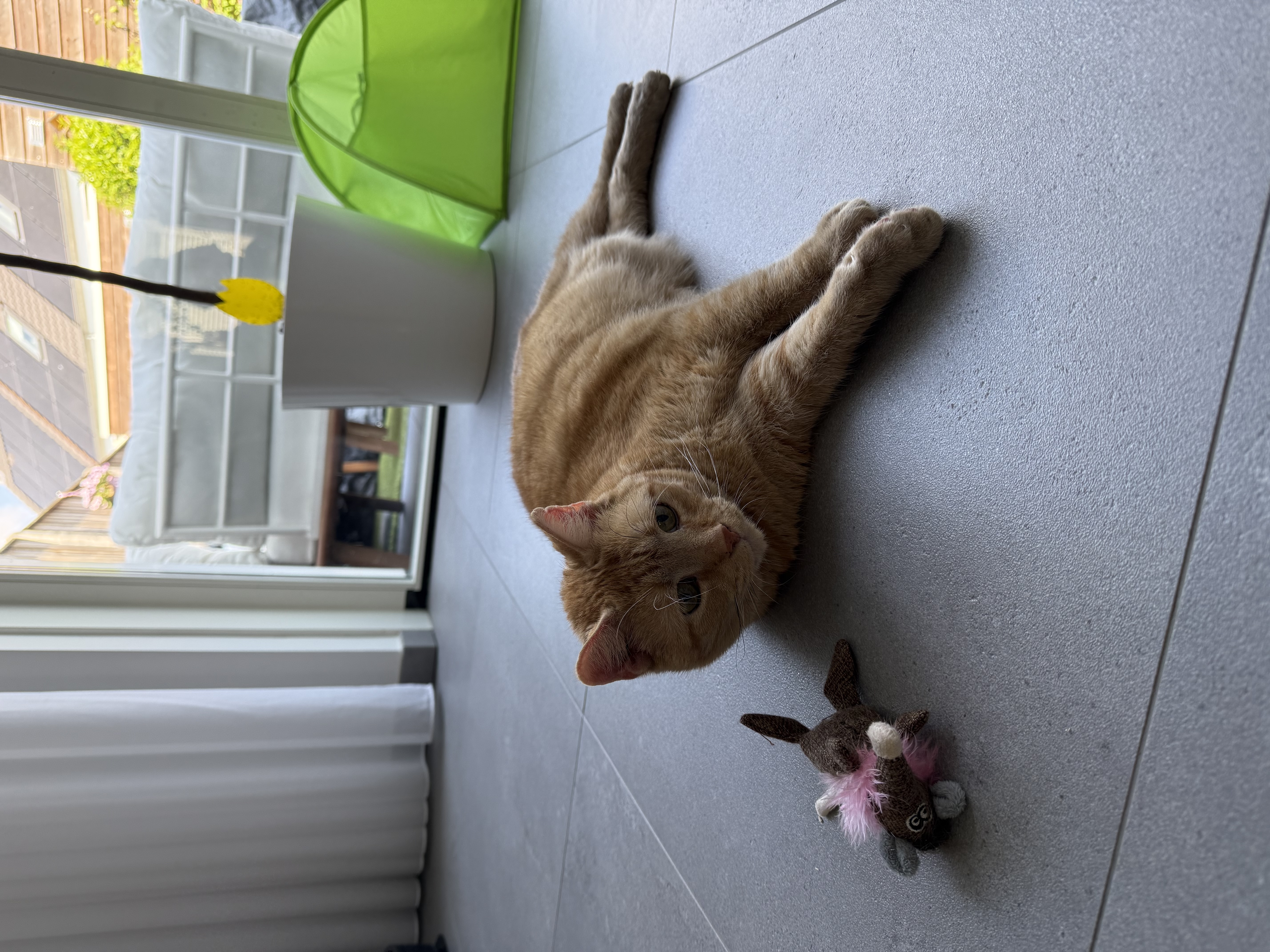 image-15