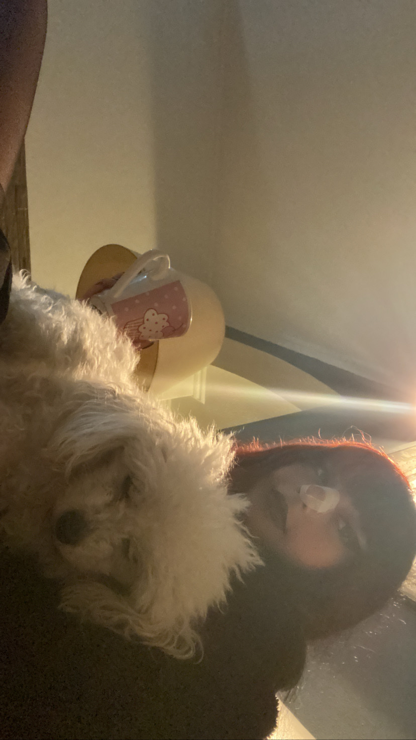 image-12