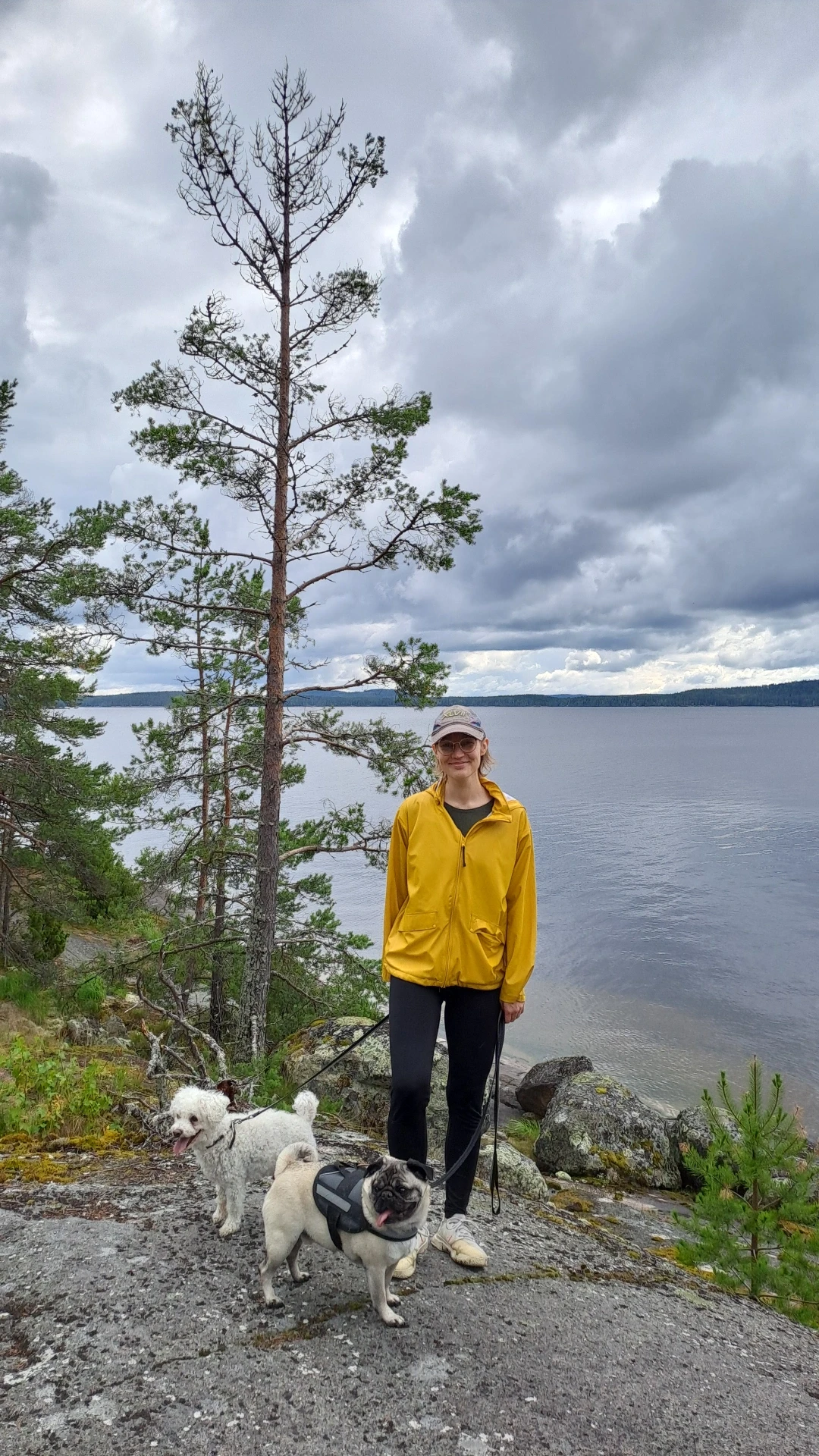image-5
