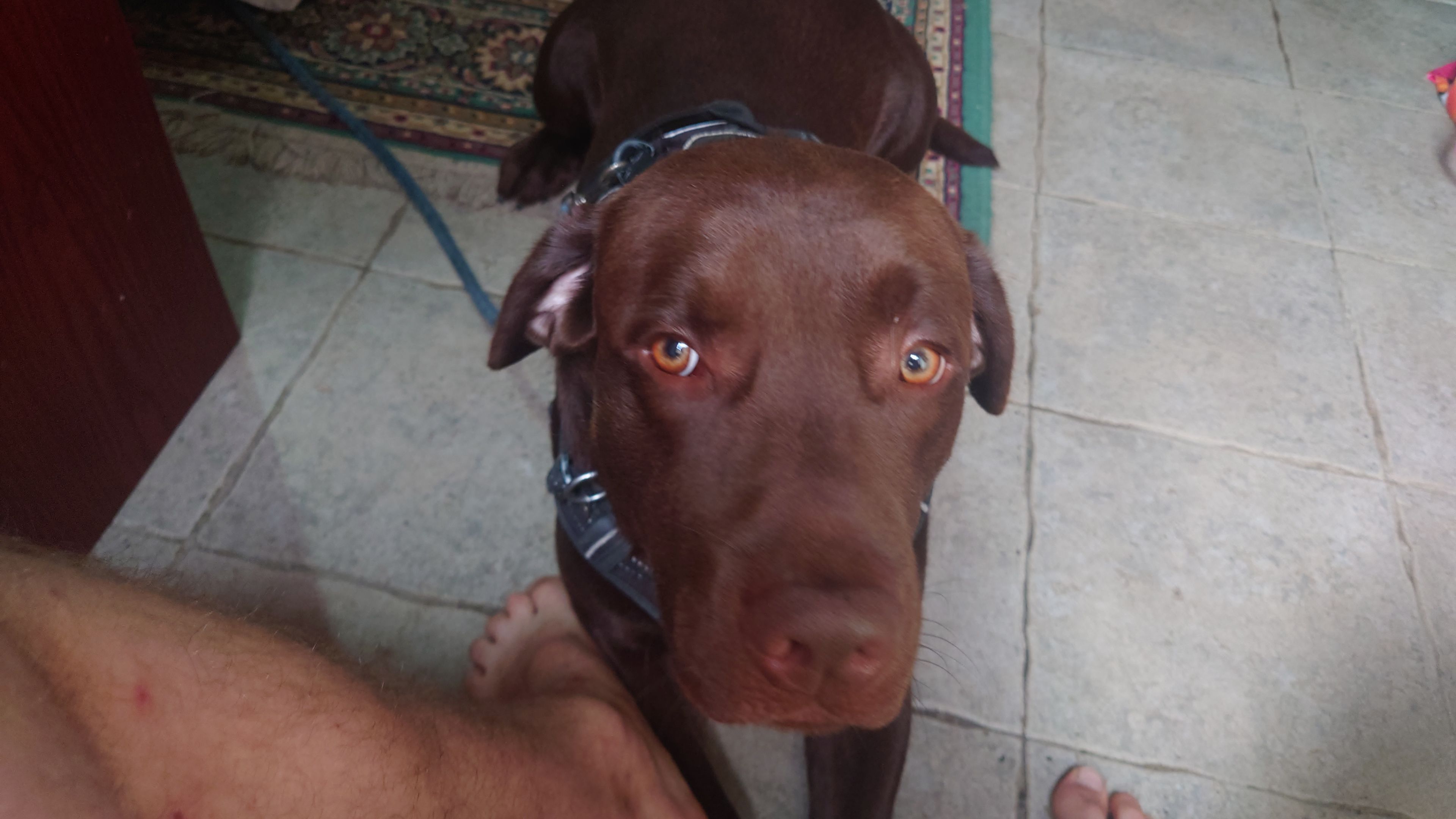 image-4