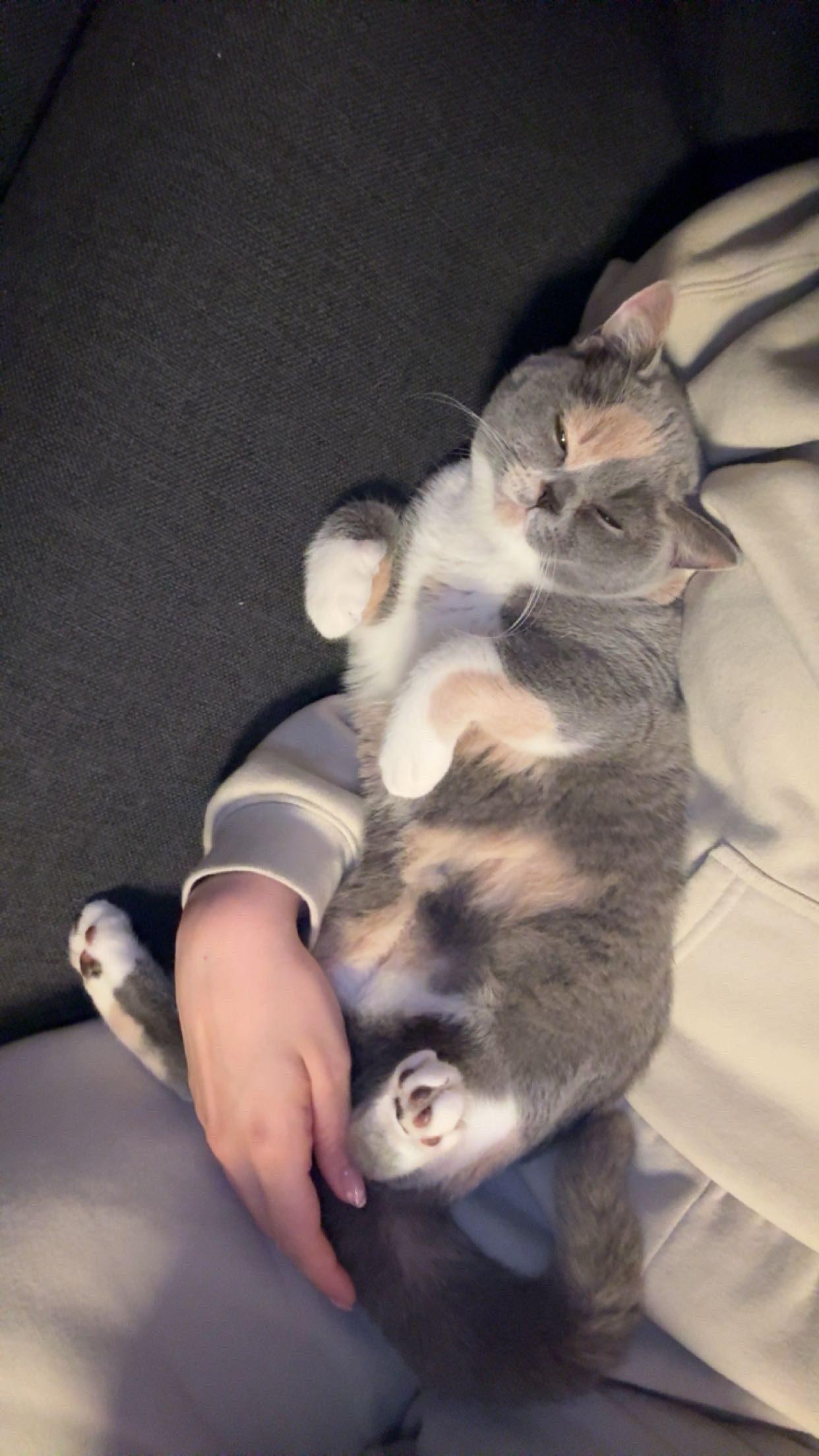 image-8