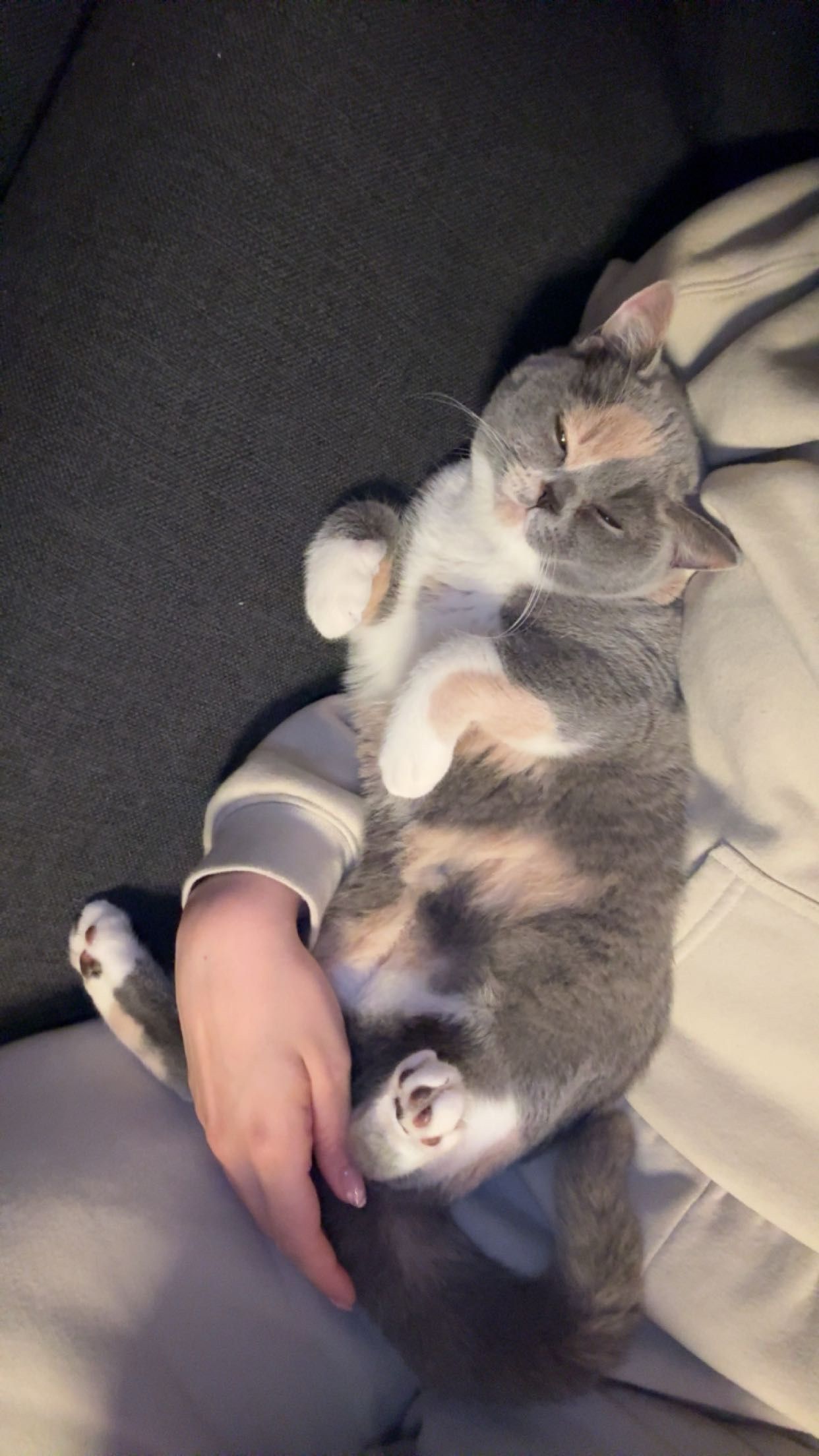 image-8