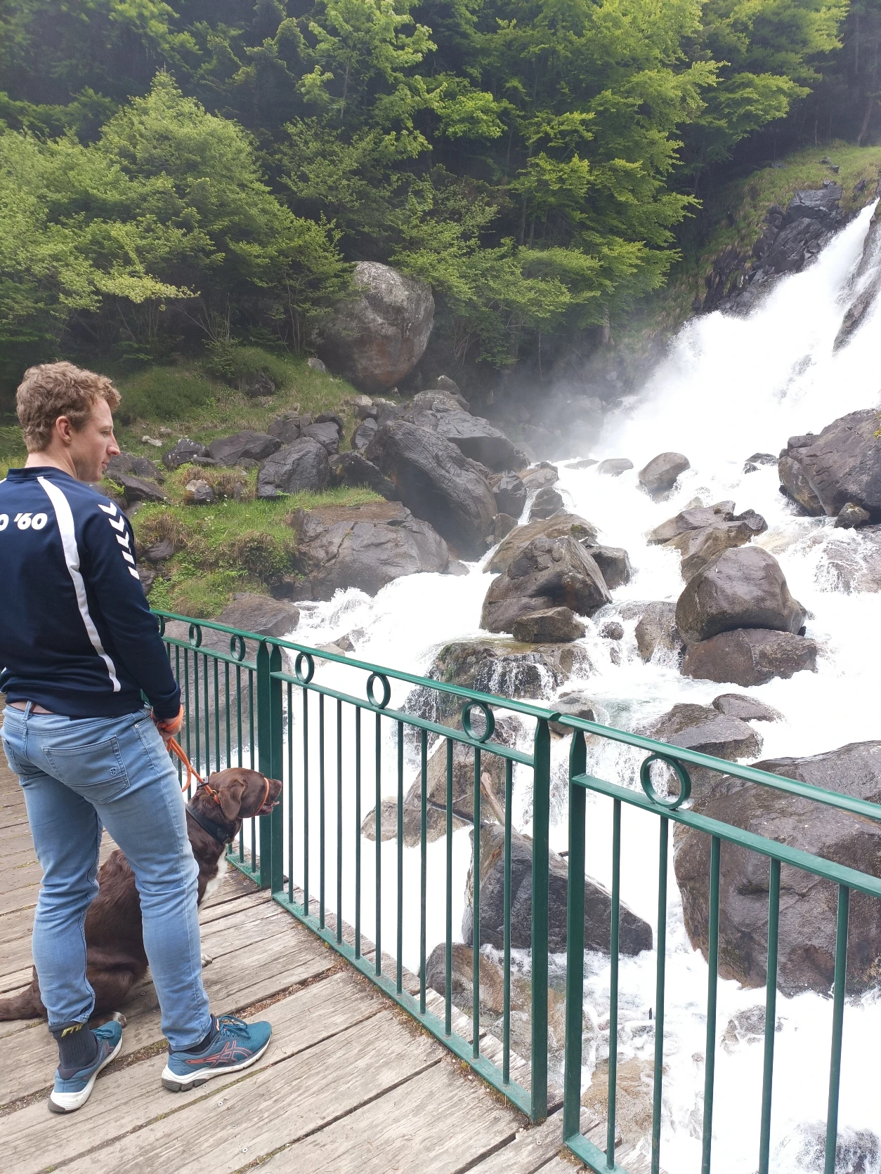 image-4