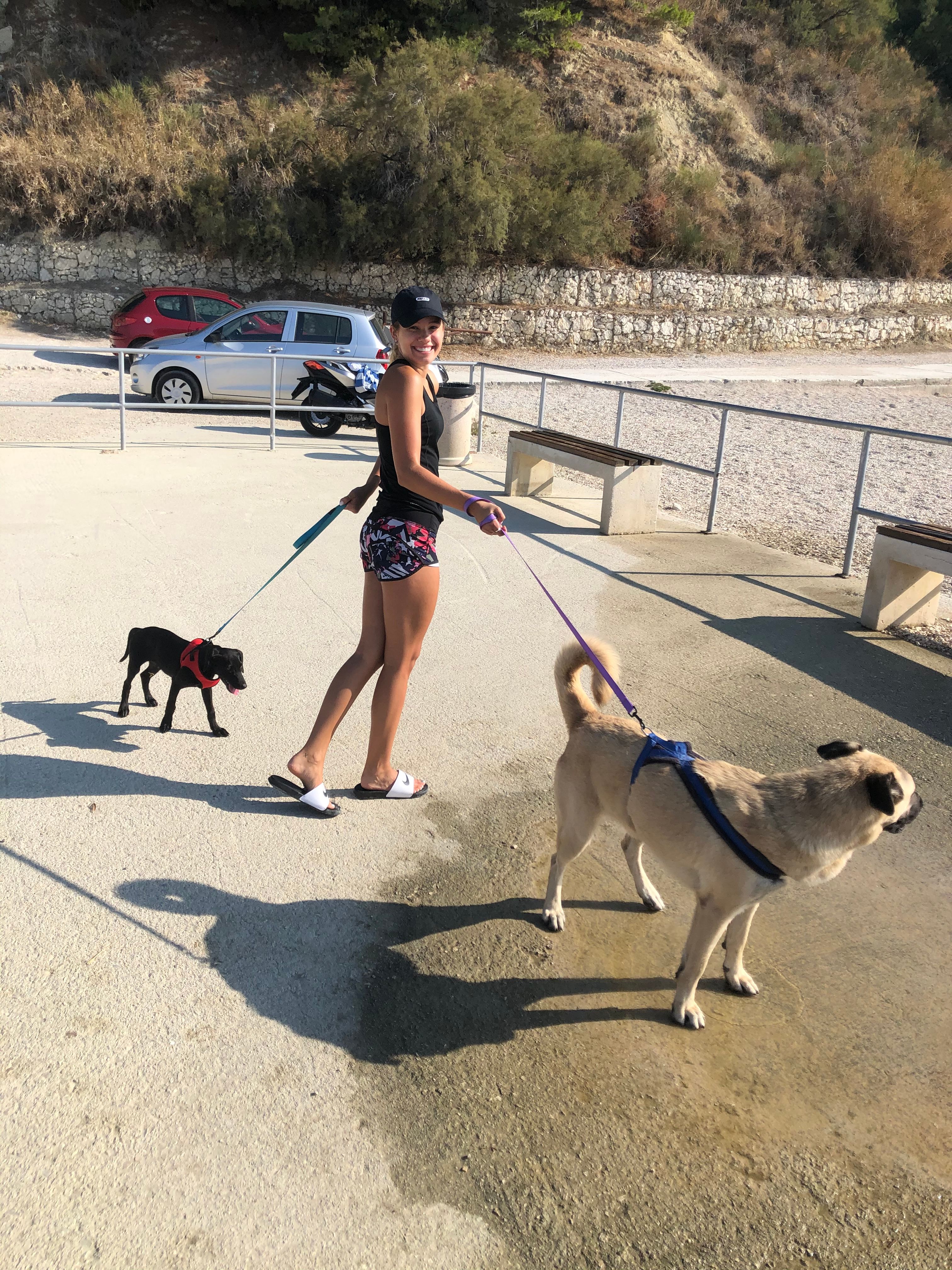 image-2
