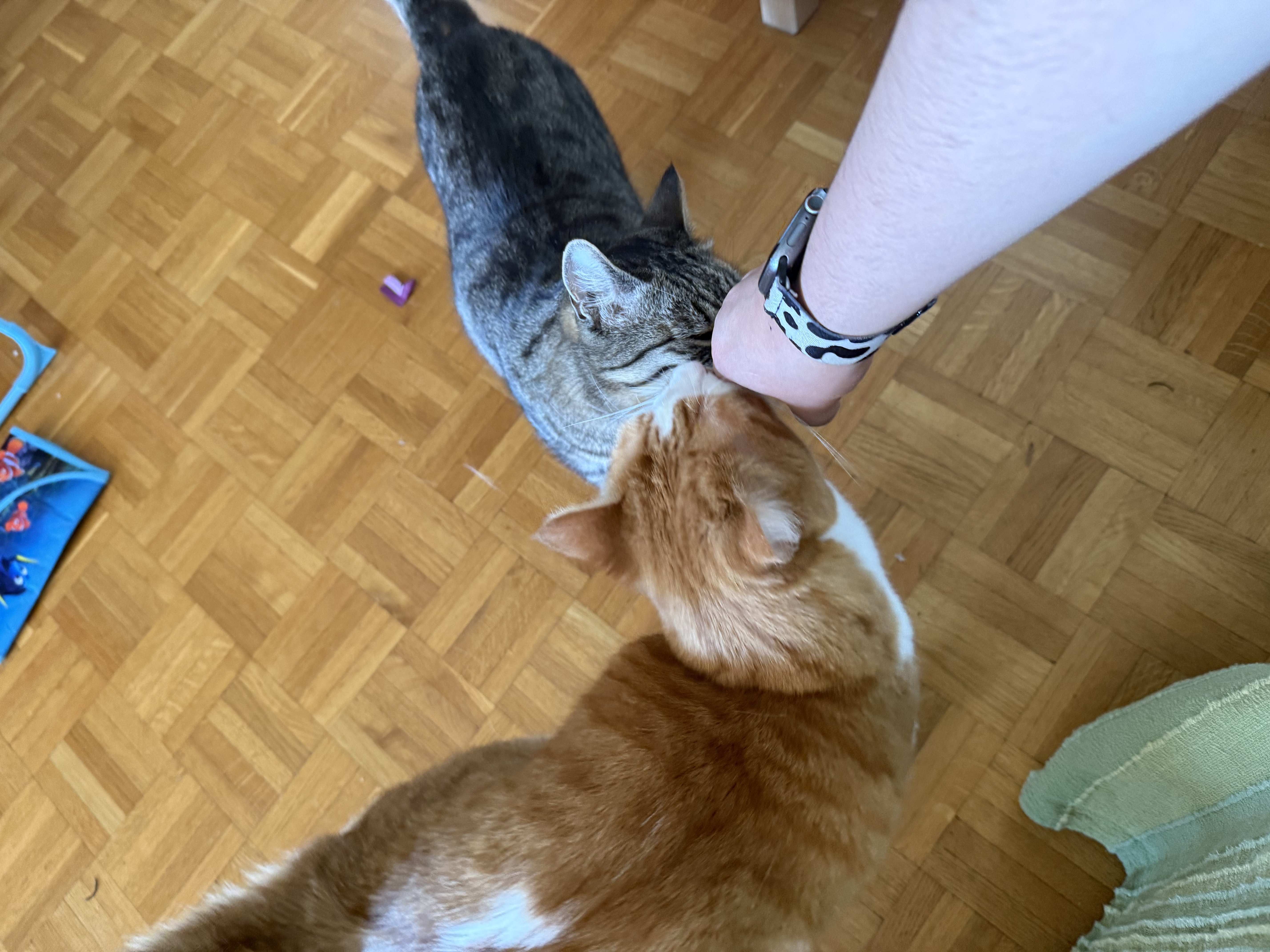 image-7