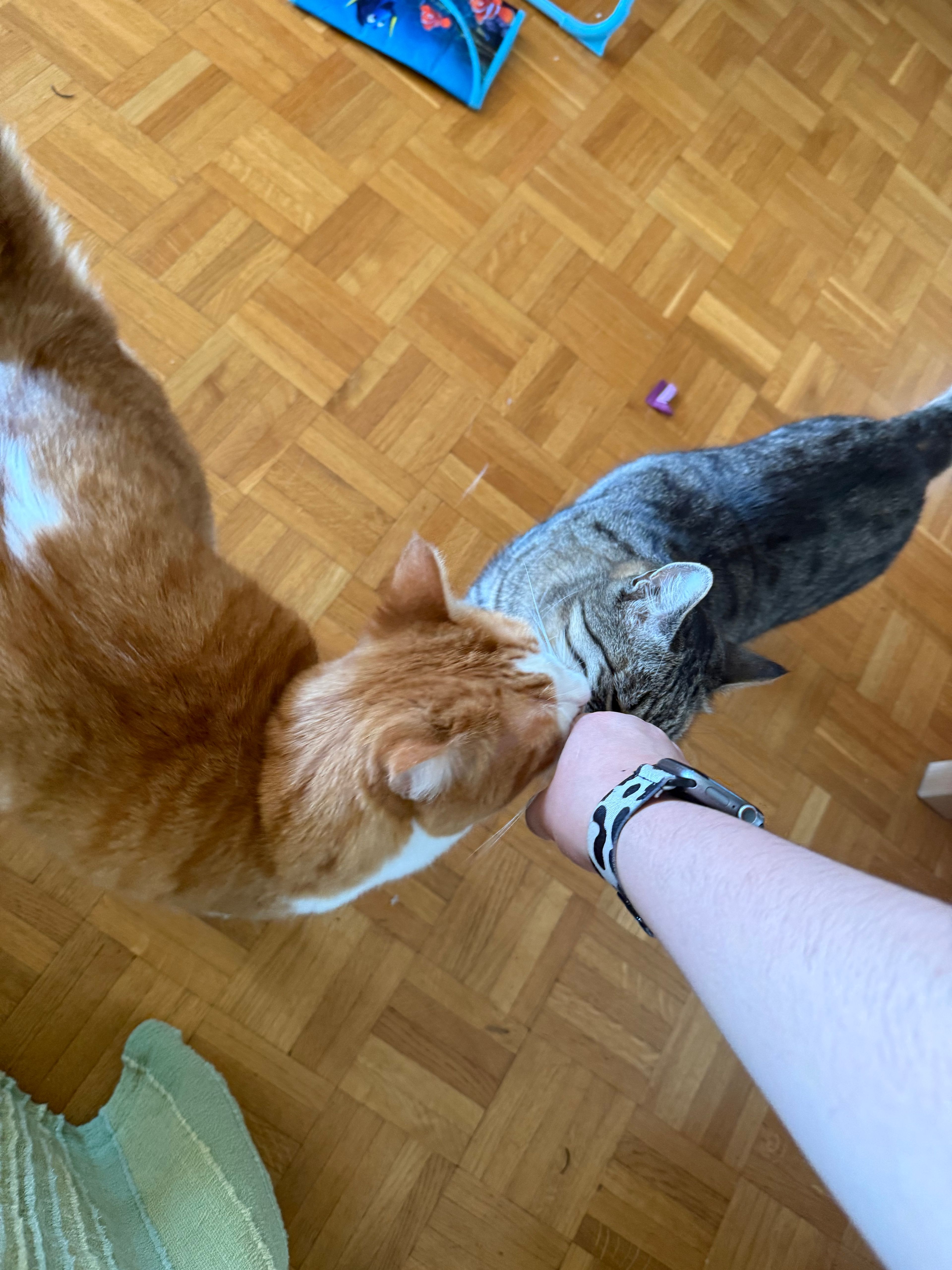 image-7