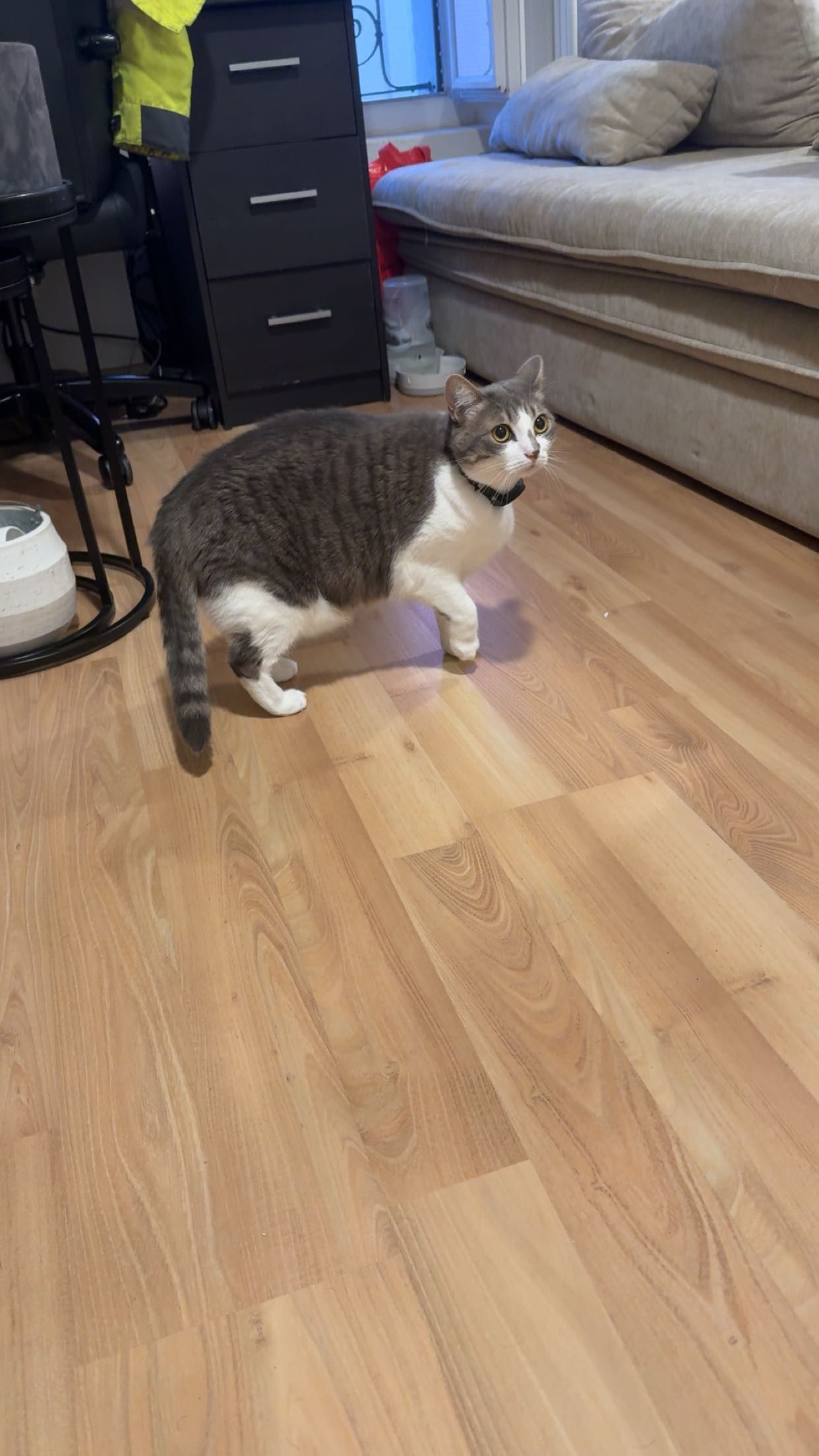 image-11