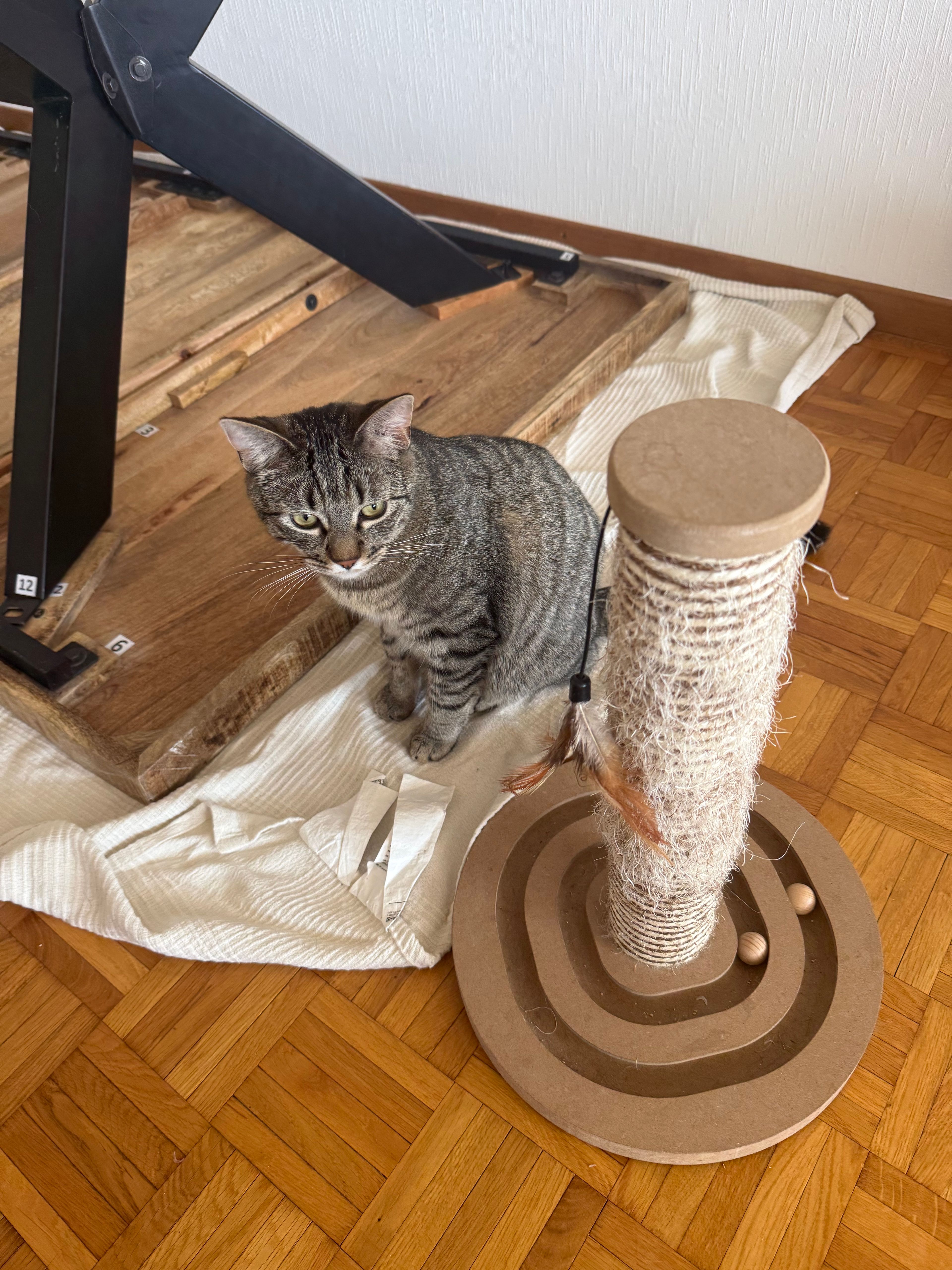 image-10