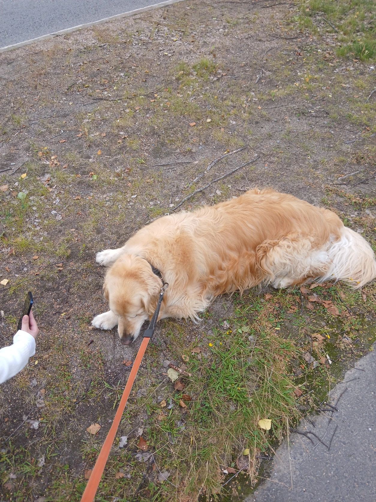 image-0
