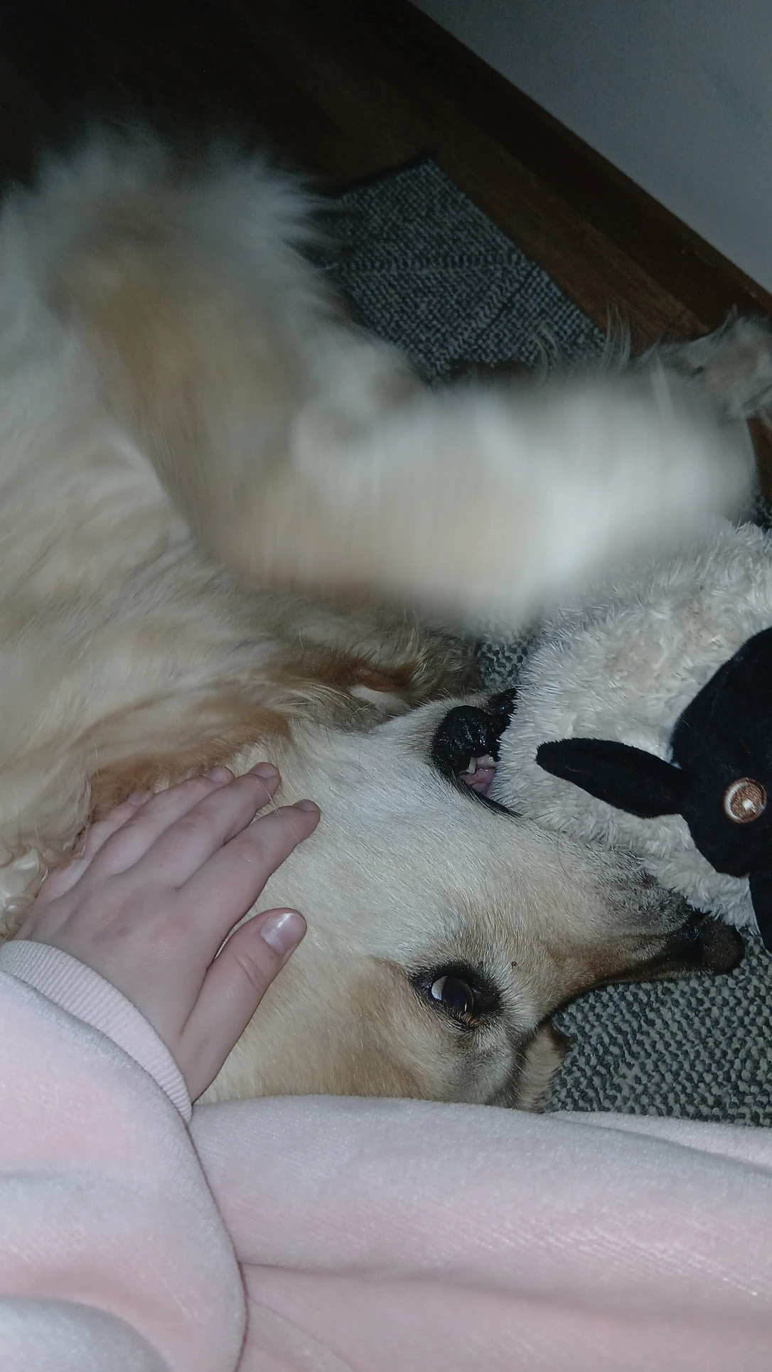image-9