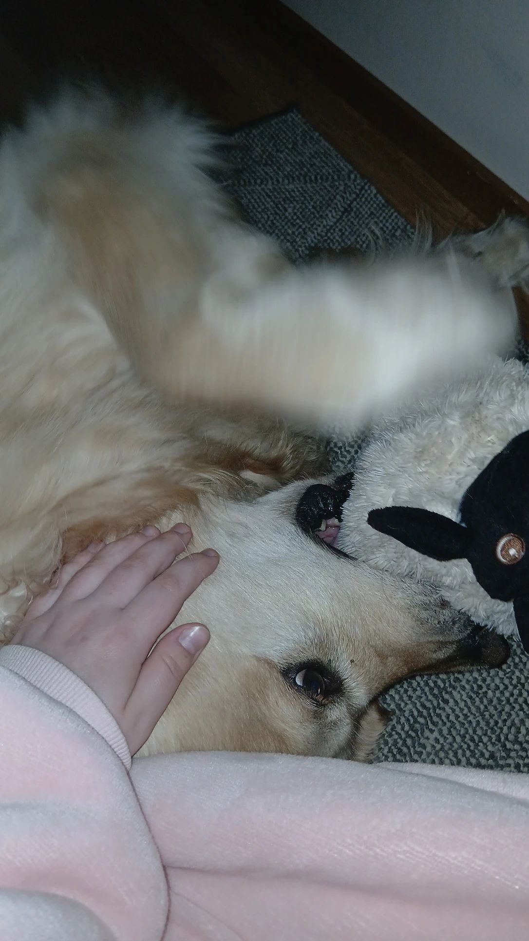 image-9