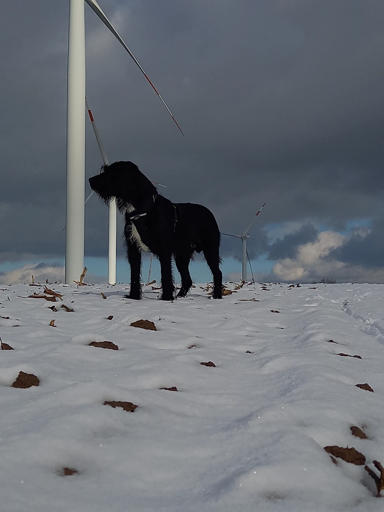 image-9