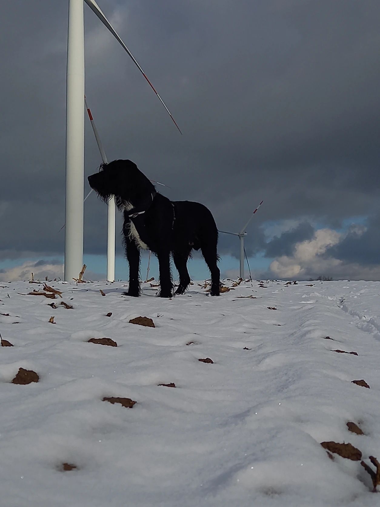 image-9